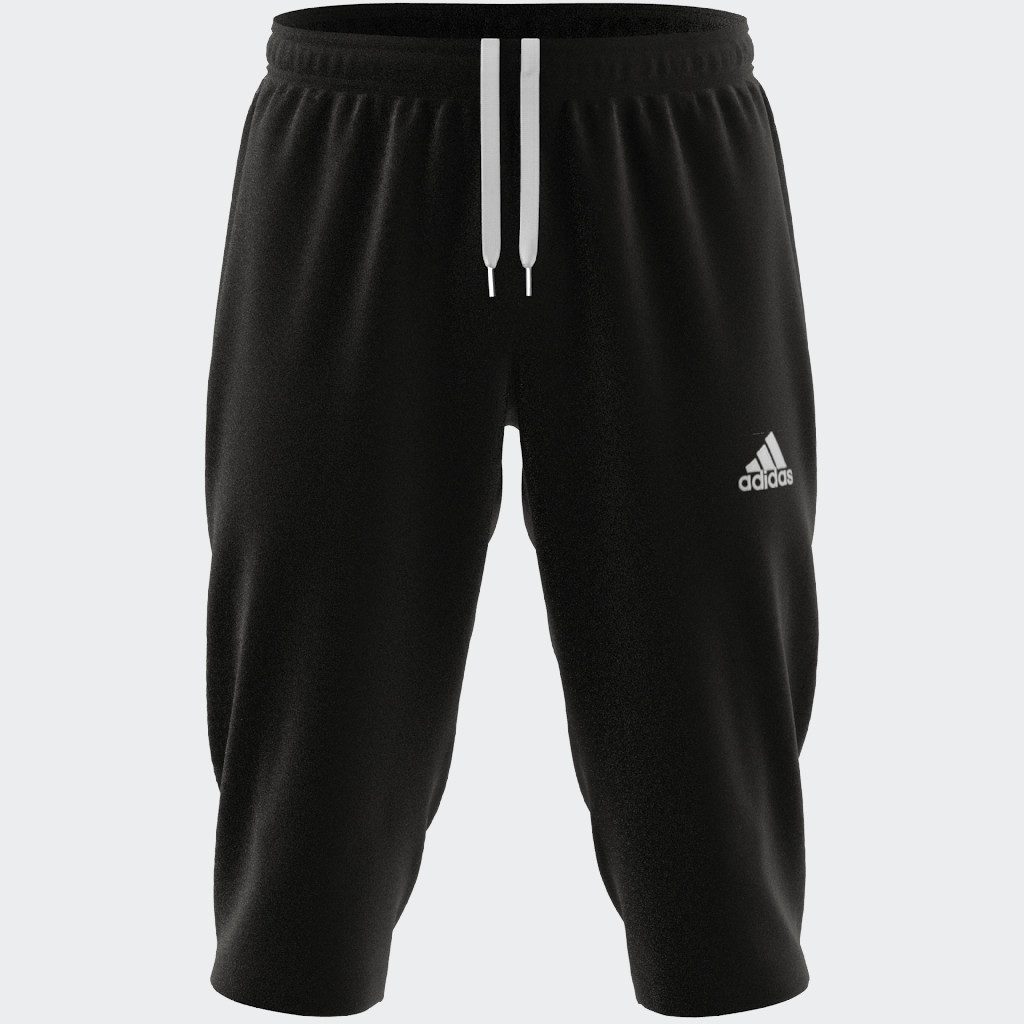 adidas Performance Trainingsbroek ENT22 3/4 PNT (1-delig)