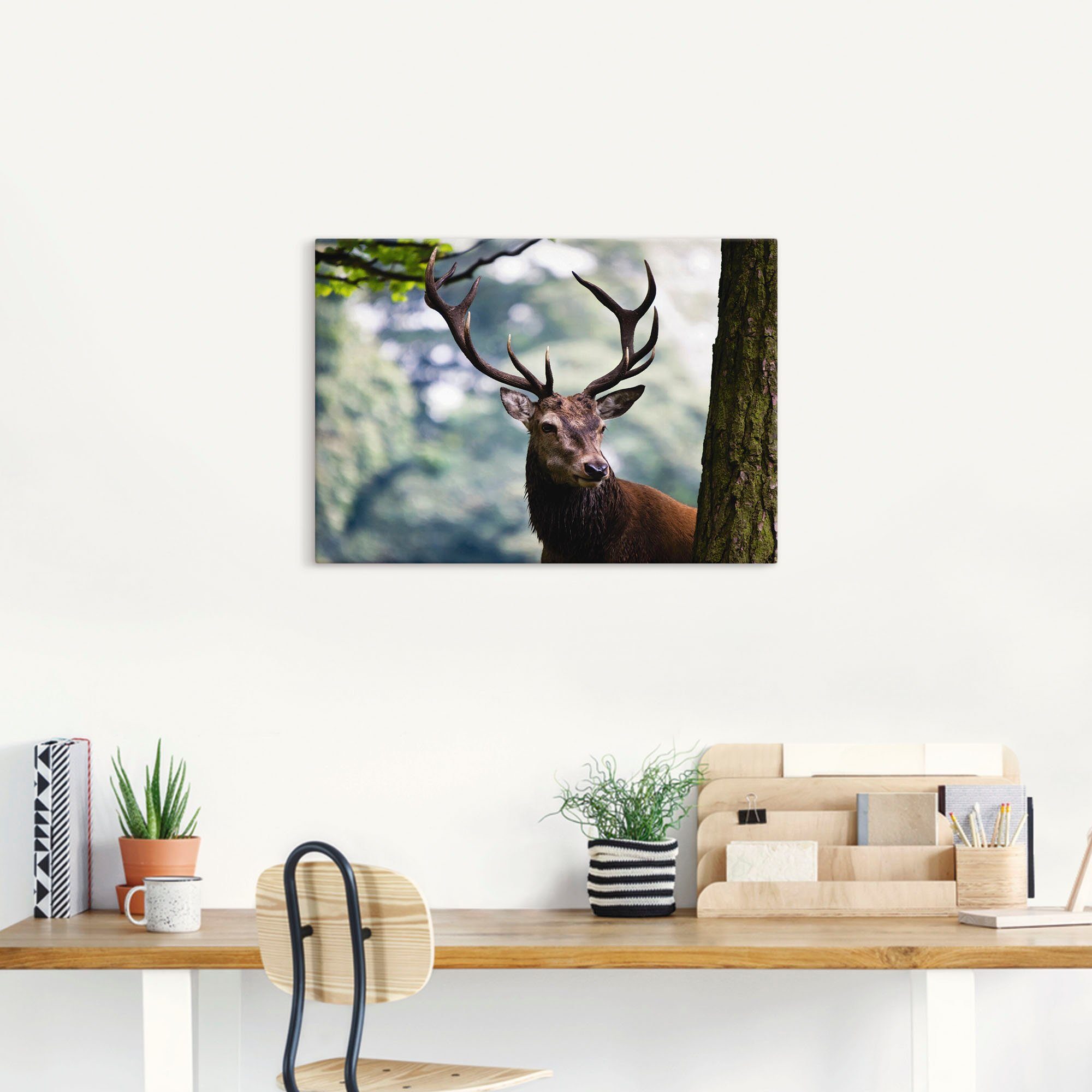 Artland Artprint Edelhert als artprint van aluminium, artprint voor buiten, artprint op linnen, poster in verschillende maten. maten
