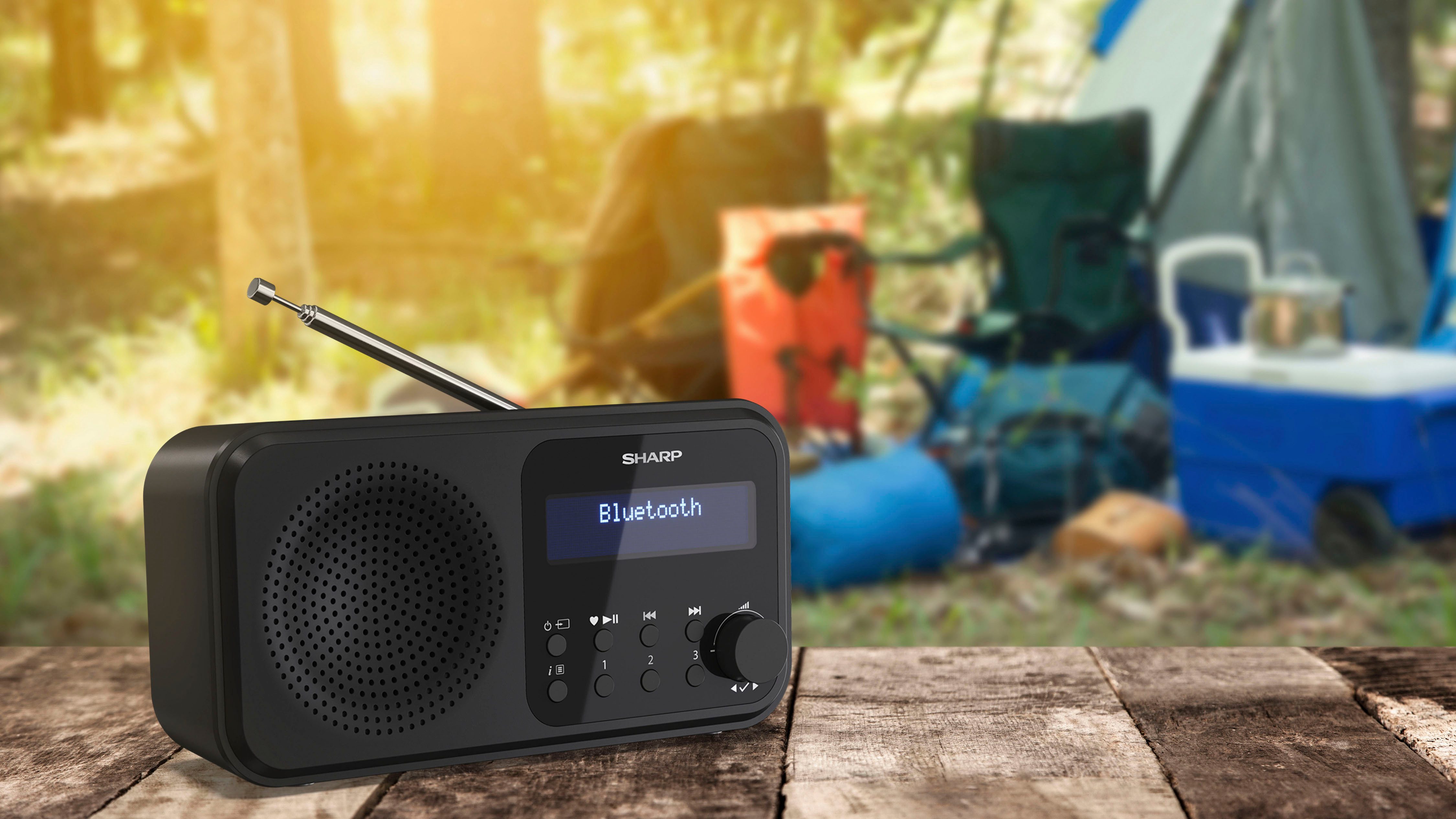 Sharp Radio DR-P420