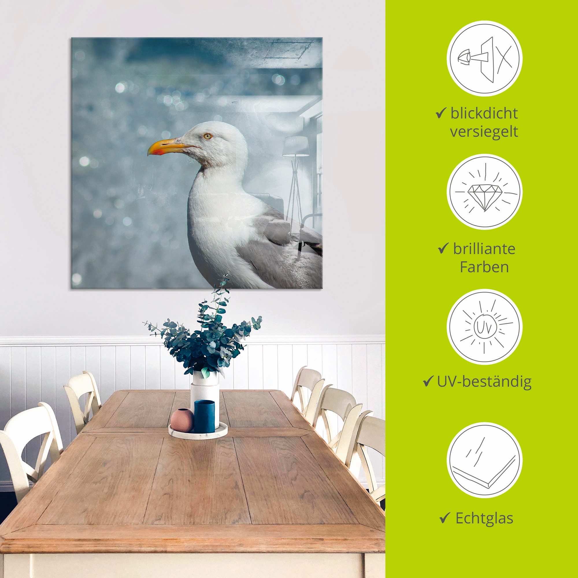 Artland Print op glas Meeuw aan de Noordzeekust