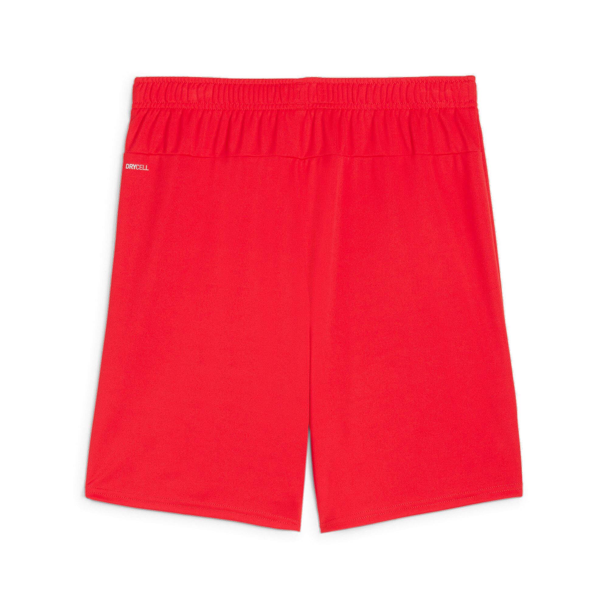 PUMA Trainingsshort TEAMGOAL SHORTS