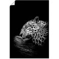 artland artprint de slapende jaguar in vele afmetingen  productsoorten - artprint van aluminium - artprint voor buiten, artprint op linnen, poster, muursticker - wandfolie ook geschikt voor de badkamer (1 stuk) zwart