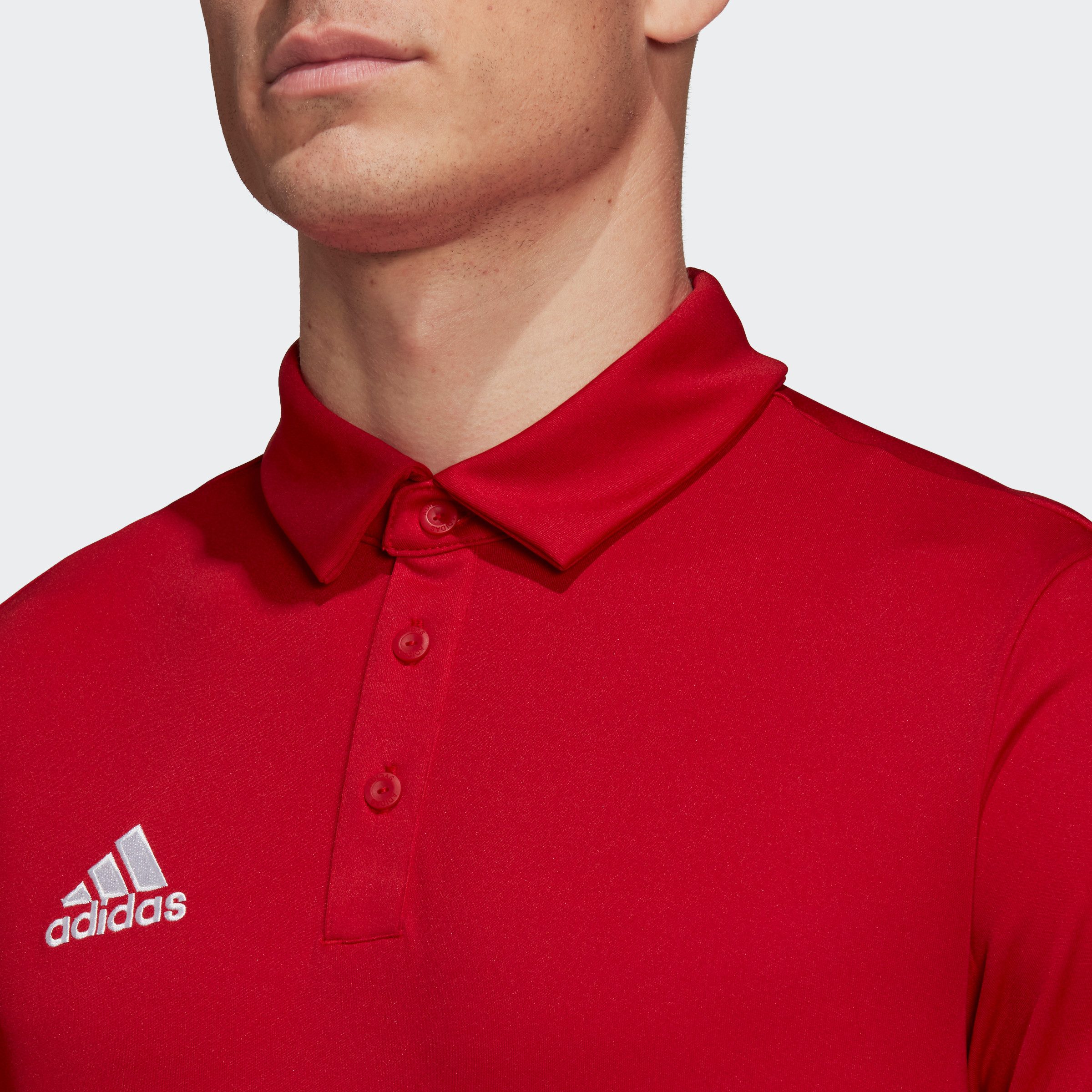 adidas Performance Poloshirt ENT22 POLO