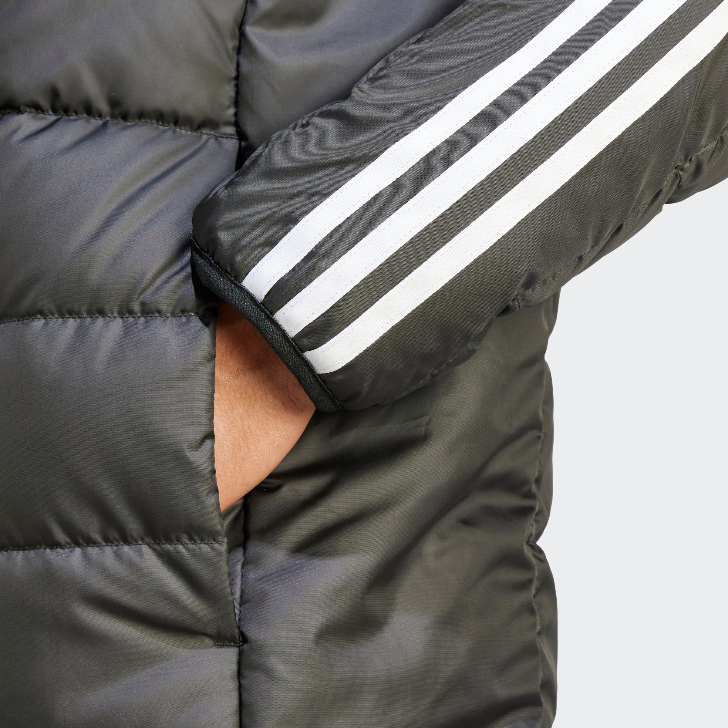 adidas Sportswear Gewatteerde jas ESS 3S L D H PA (1-delig)
