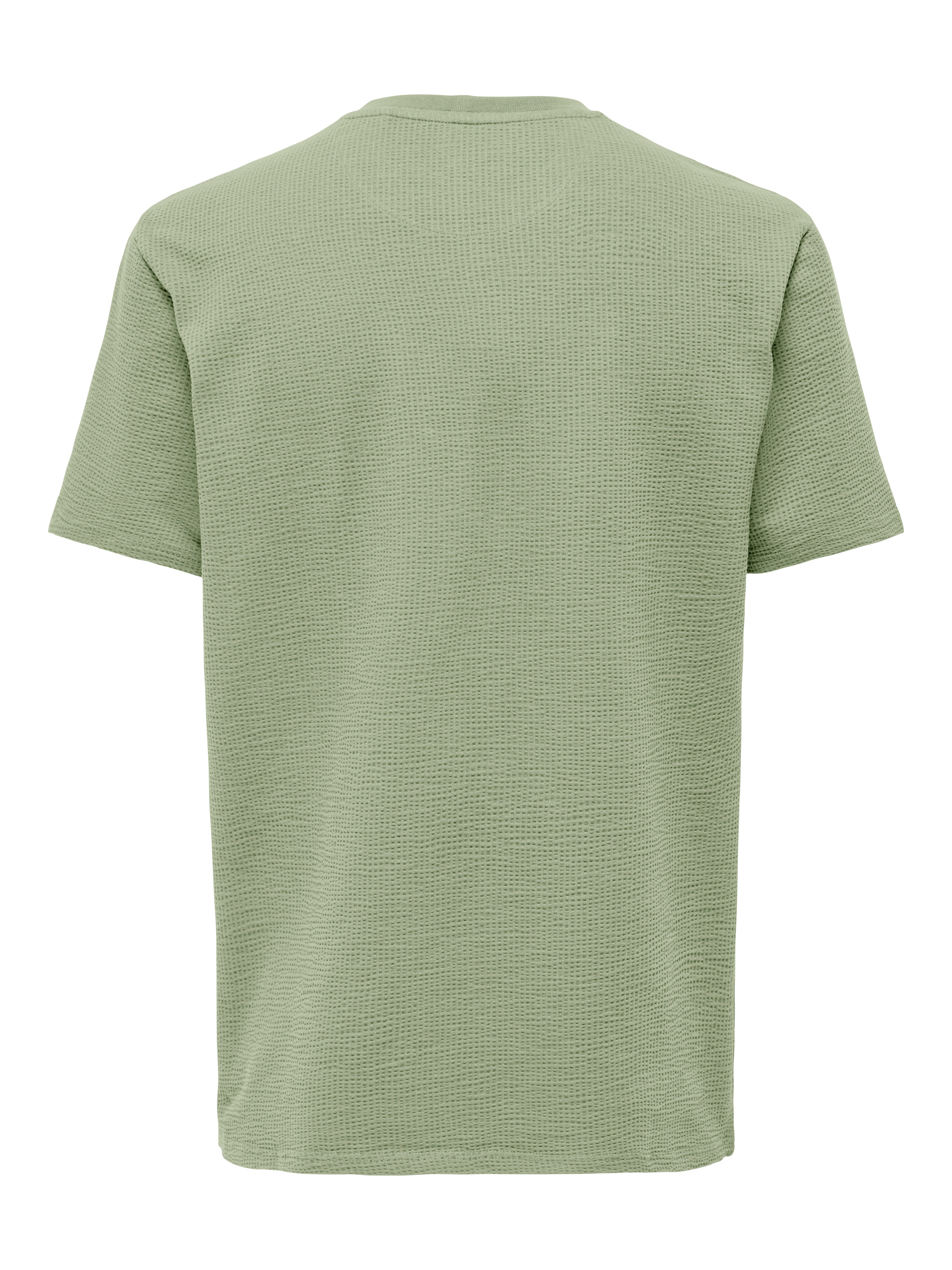 ONLY & SONS Shirt met ronde hals ONSKIAN LIFE REG SEERSUCKER SS TEE NOOS