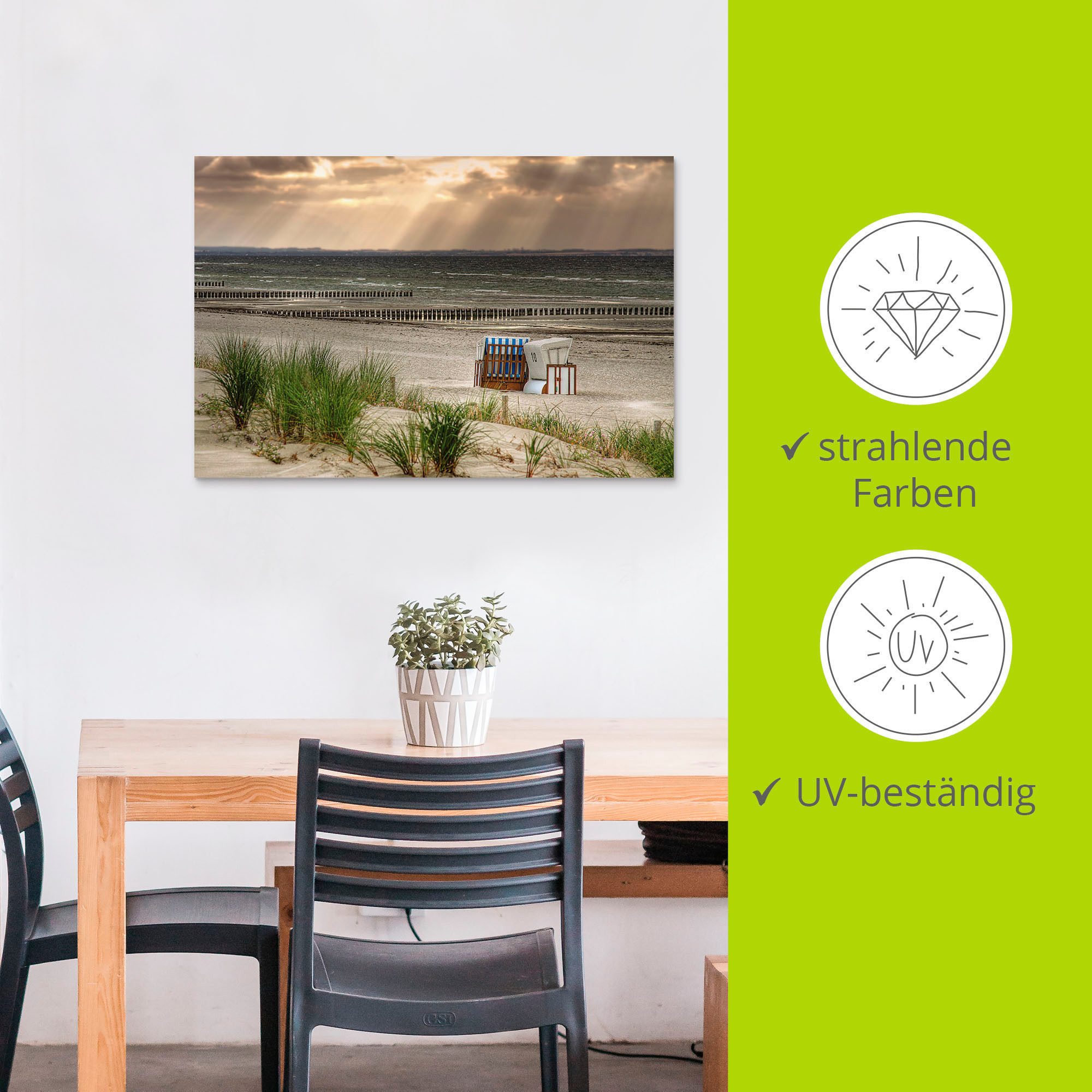 Artland Artprint Zwarte struik strand op eiland Poel als artprint van aluminium, artprint op linnen, muursticker, verschillende maten