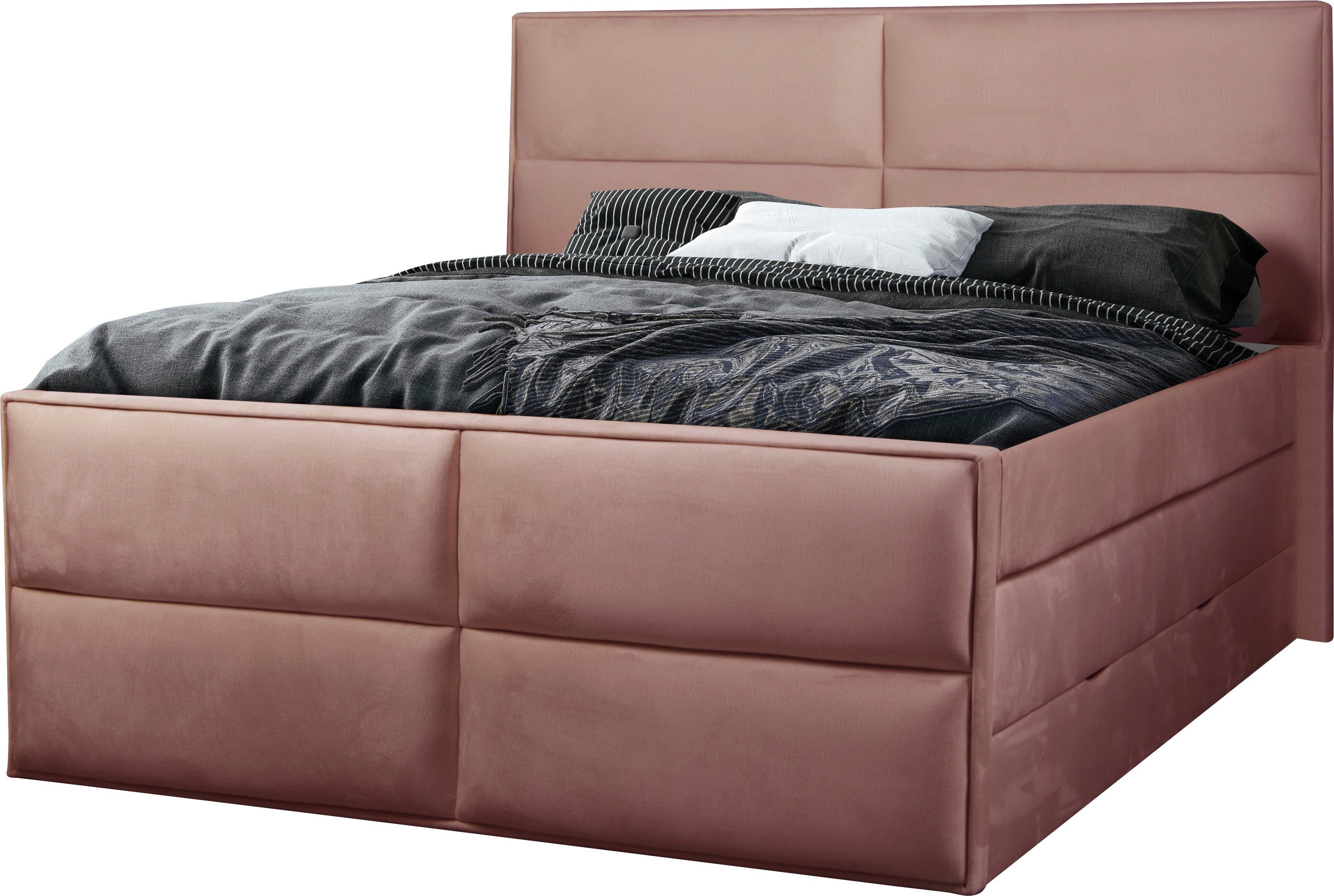 Places of Style Boxspring Williston
