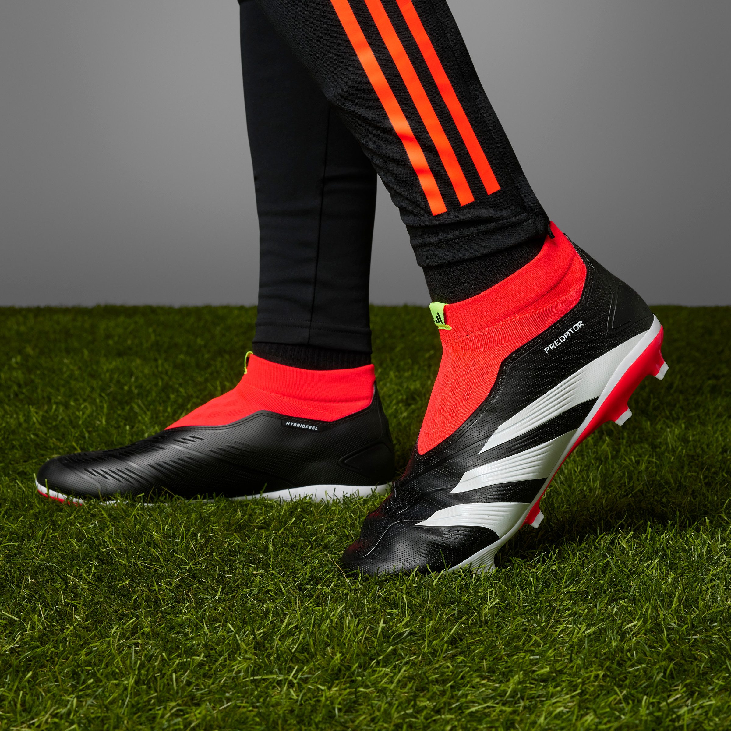 adidas Performance Voetbalschoenen PREDATOR LEAGUE LACELESS FG