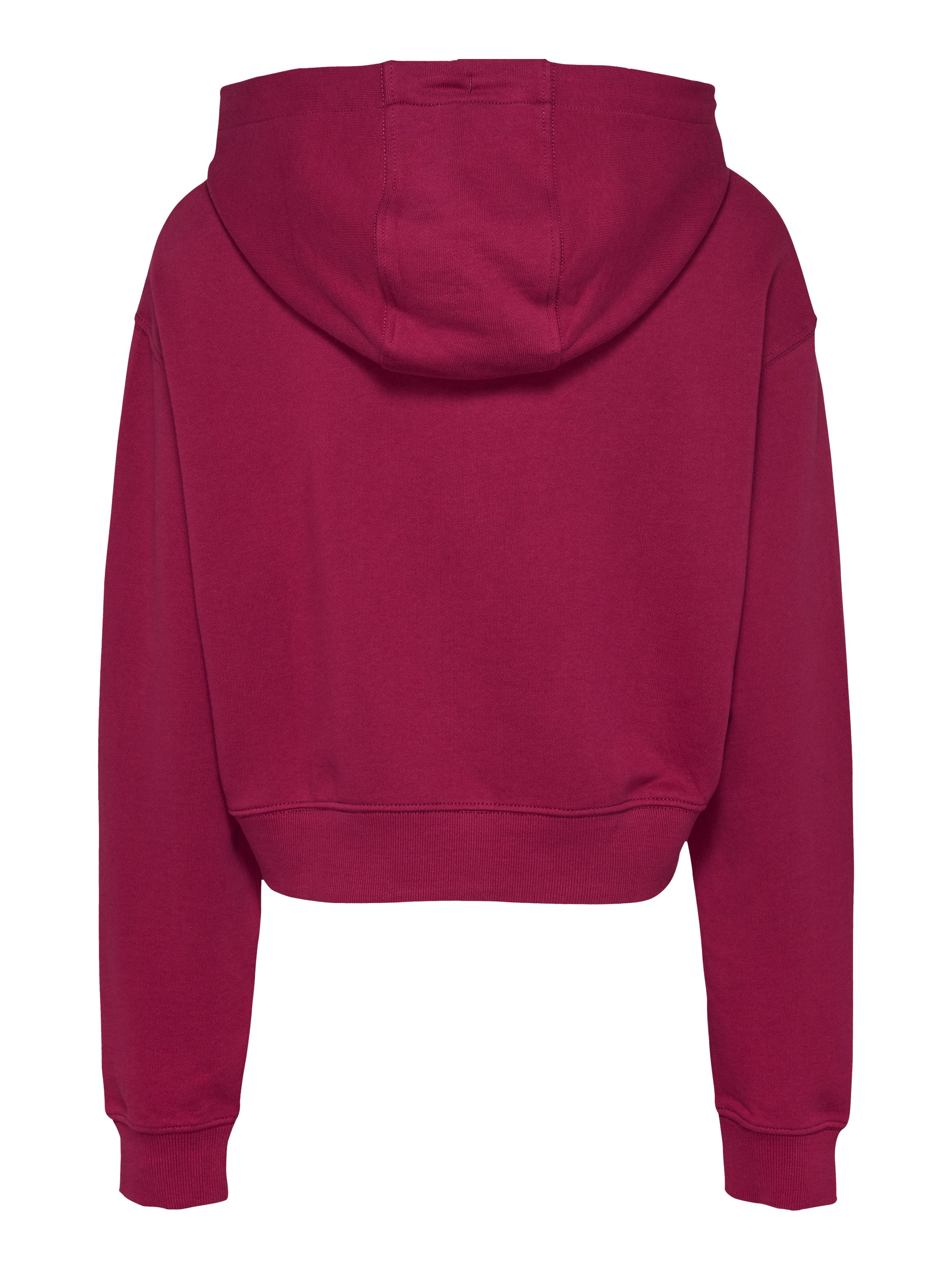 TOMMY JEANS Hoodie TJW RLX CRP SCRIPT HOODIE EXT