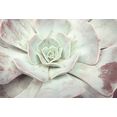 boenninghoff artprint op linnen bloemen (1 stuk) roze