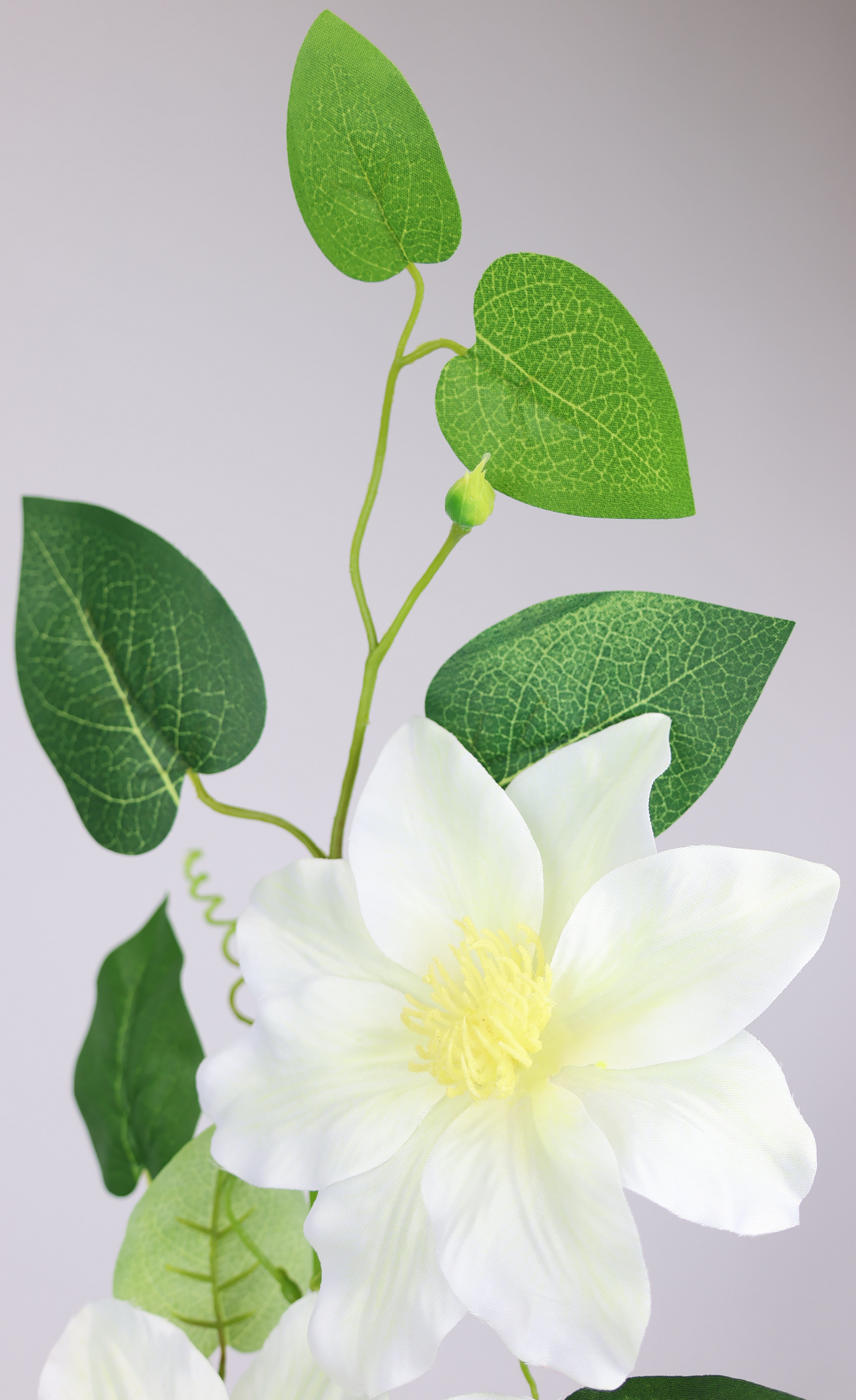 I.GE.A. Kunstbloem Clematisrank waldebe Tak enkele bloem stelen bloem, 2-delige set (2 stuks)