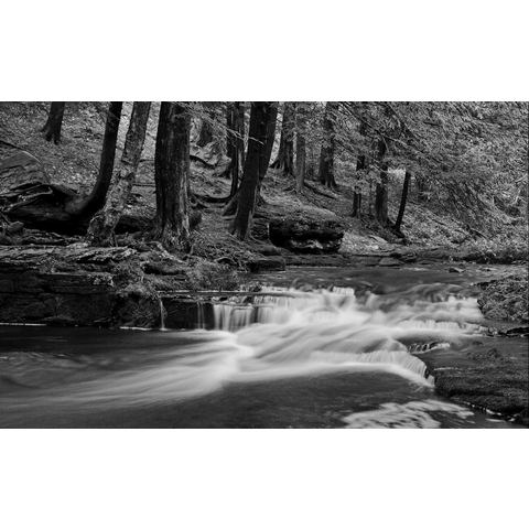 Papermoon Fotobehang Wasserfall Schwarz & Weiß