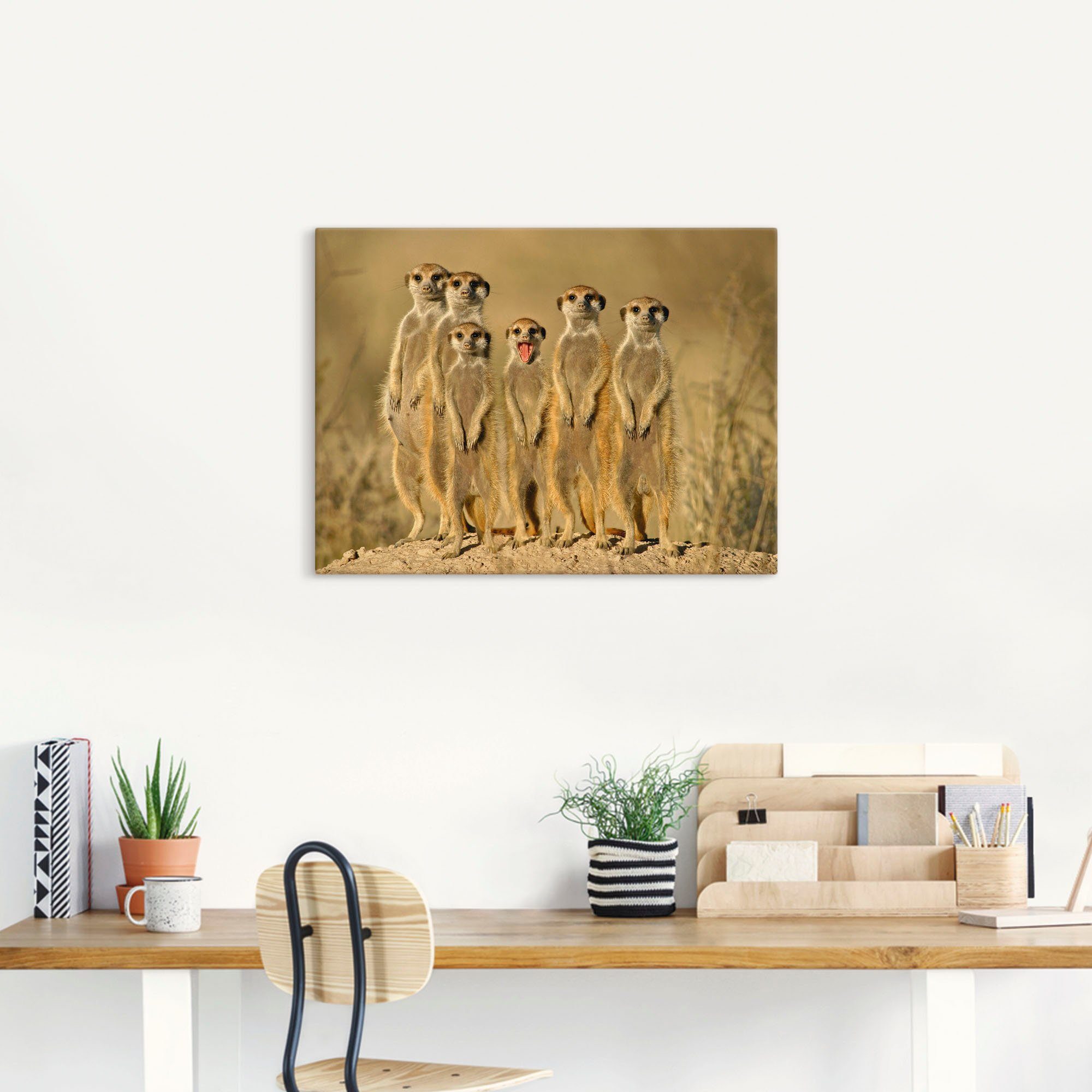 Artland Artprint Stokstaartjes familie als artprint van aluminium, artprint voor buiten, artprint op linnen, poster, muursticker