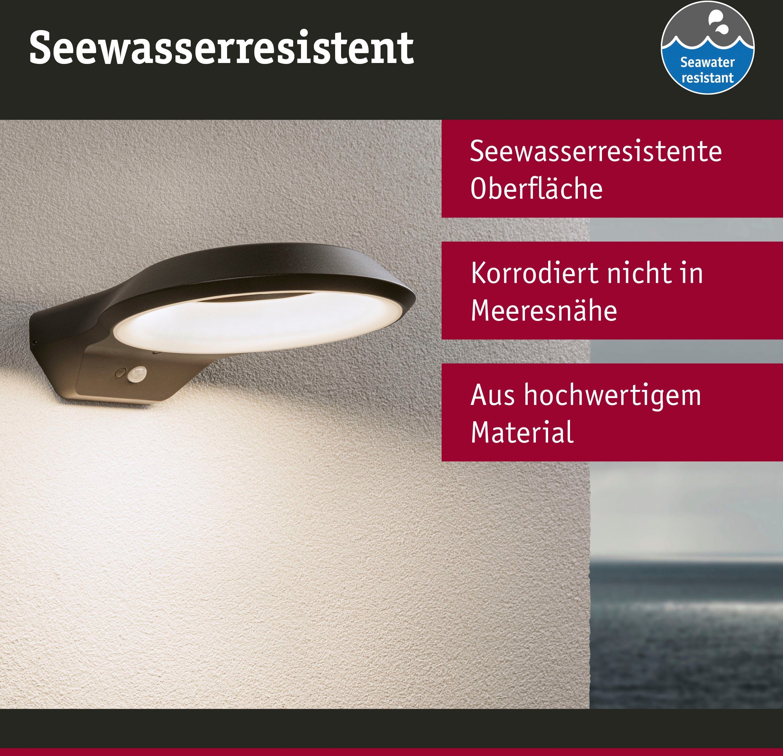 Paulmann Led-wandlamp voor buiten Anela 230V insectvriendelijk