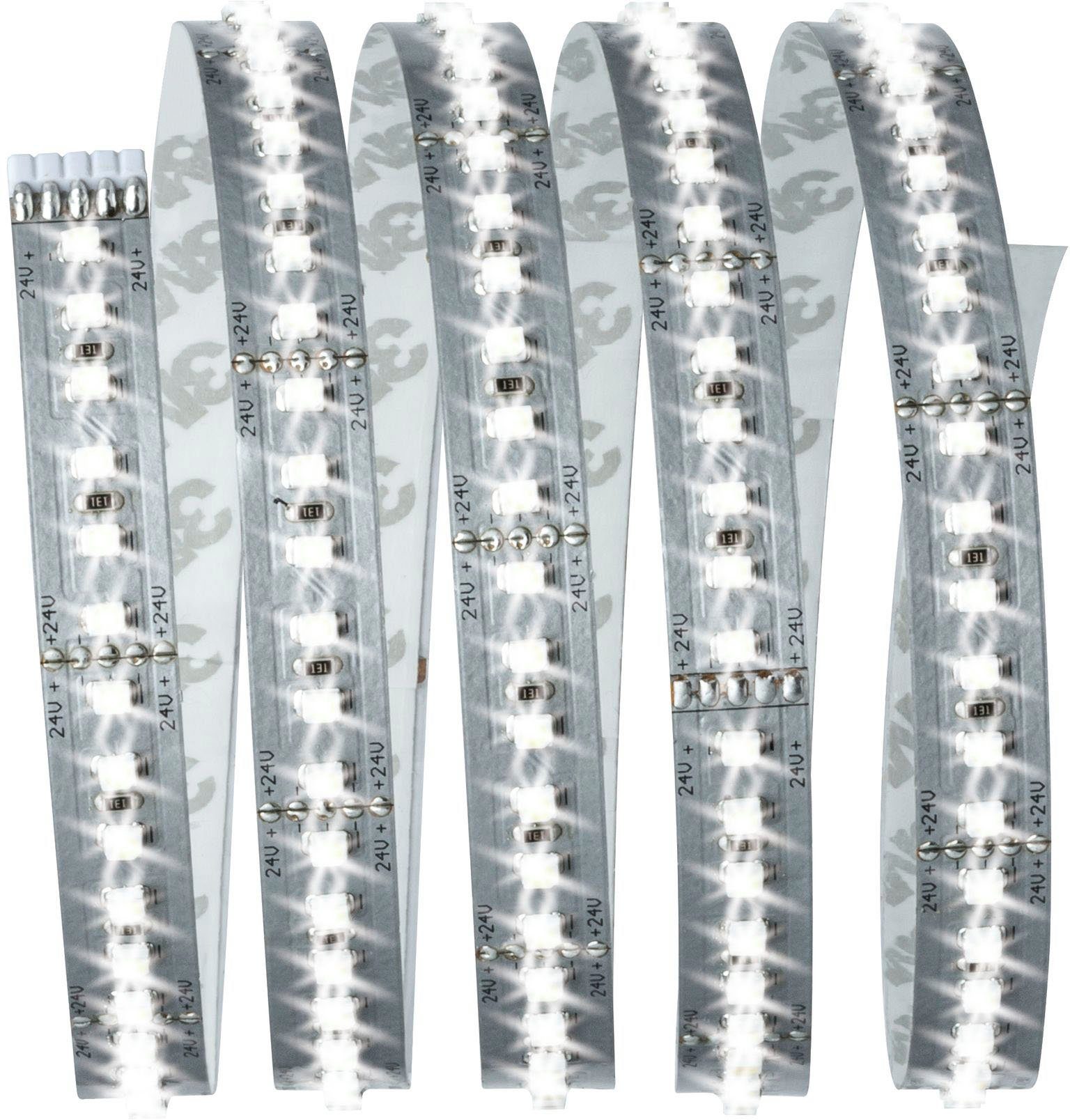 Paulmann Led-strepen MaxLED 1000 Basisset 1,5m Daglichtwit 18W 1100lm/m 6500K (1 stuk)