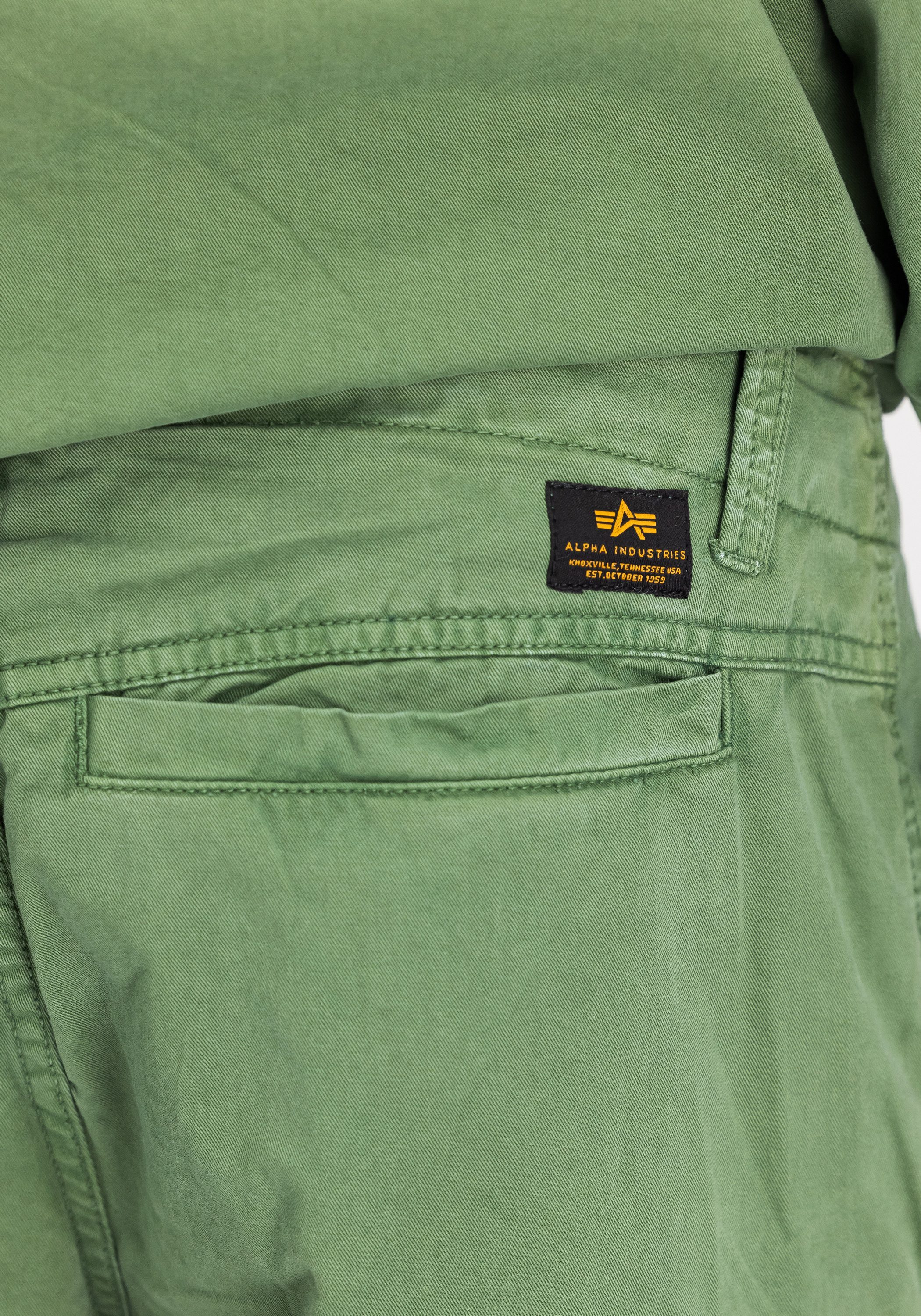 Alpha Industries Short Flying Tigers Shorts