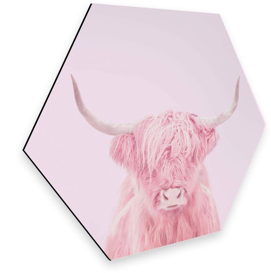 Wall-Art Metalen artprint Hoogland rund roze deurbord (1 stuk)