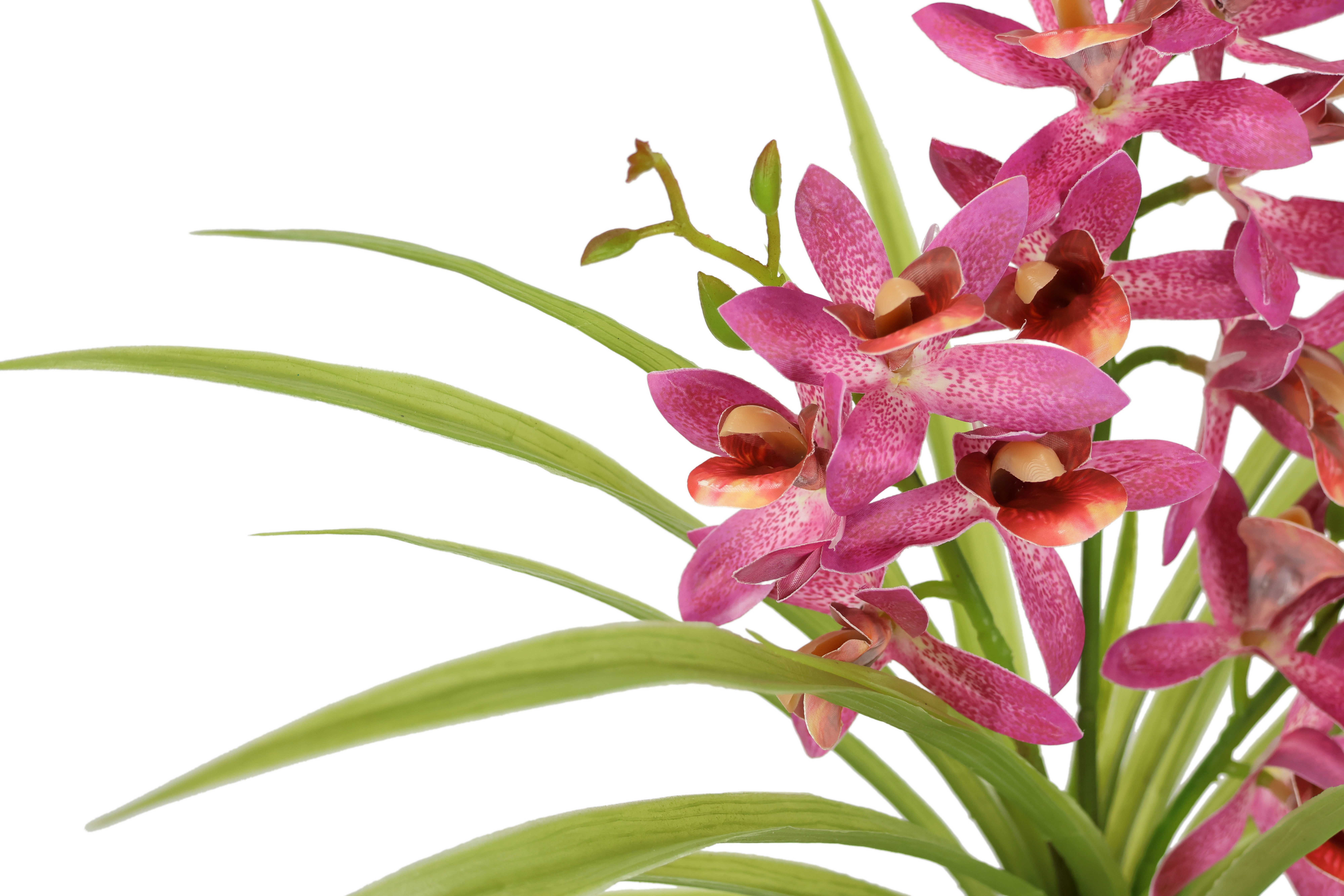 I.GE.A. Kunstbloem vlinderorchidee met keramische pot Met bladeren en luchtwortels, kunstorchidee Phalaenopsis, kunstplant (1 stuk)