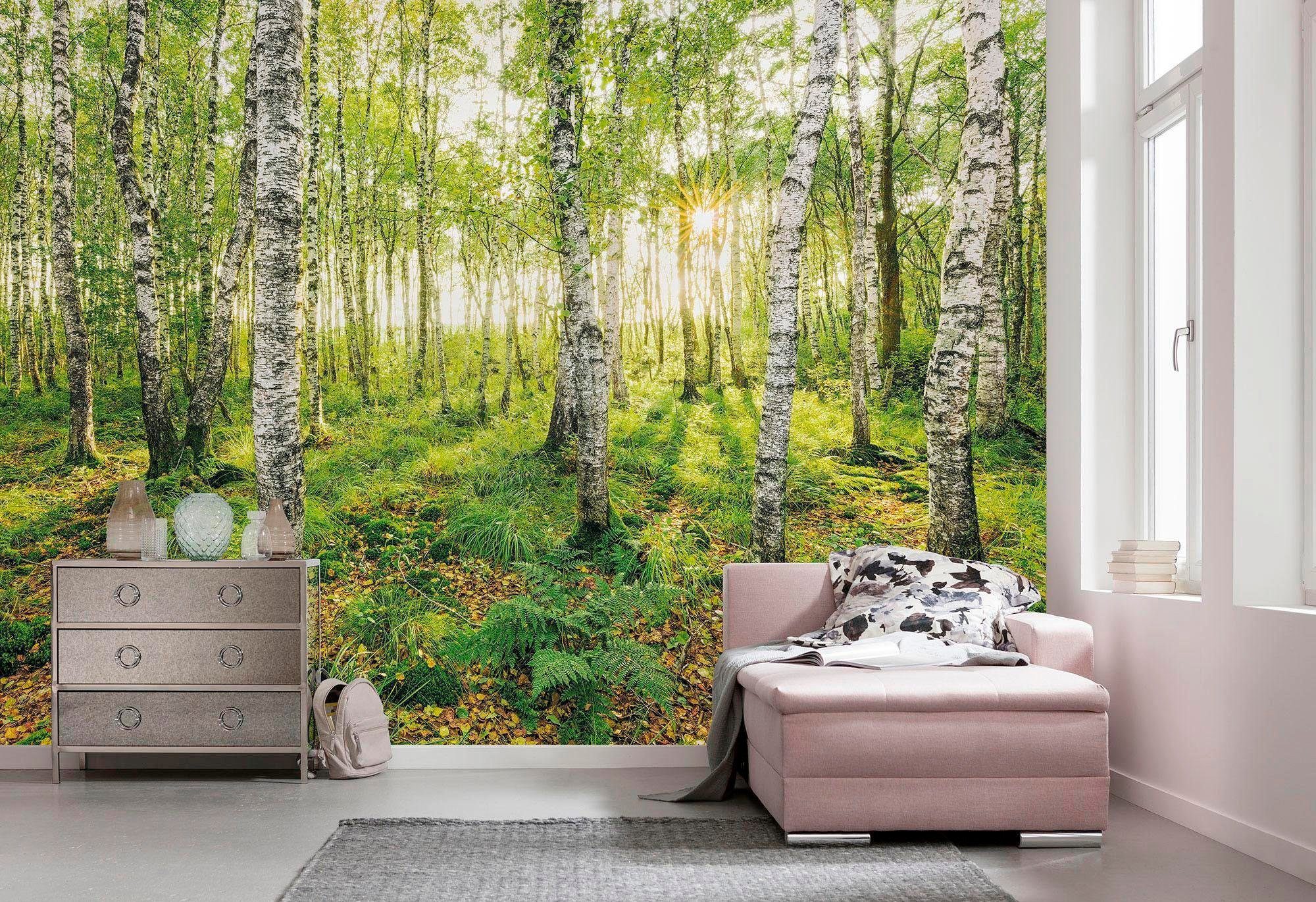 Komar Vliesbehang Digitale print vlies - Birch Trees - Afmeting 400 x 250 cm (1 stuk)
