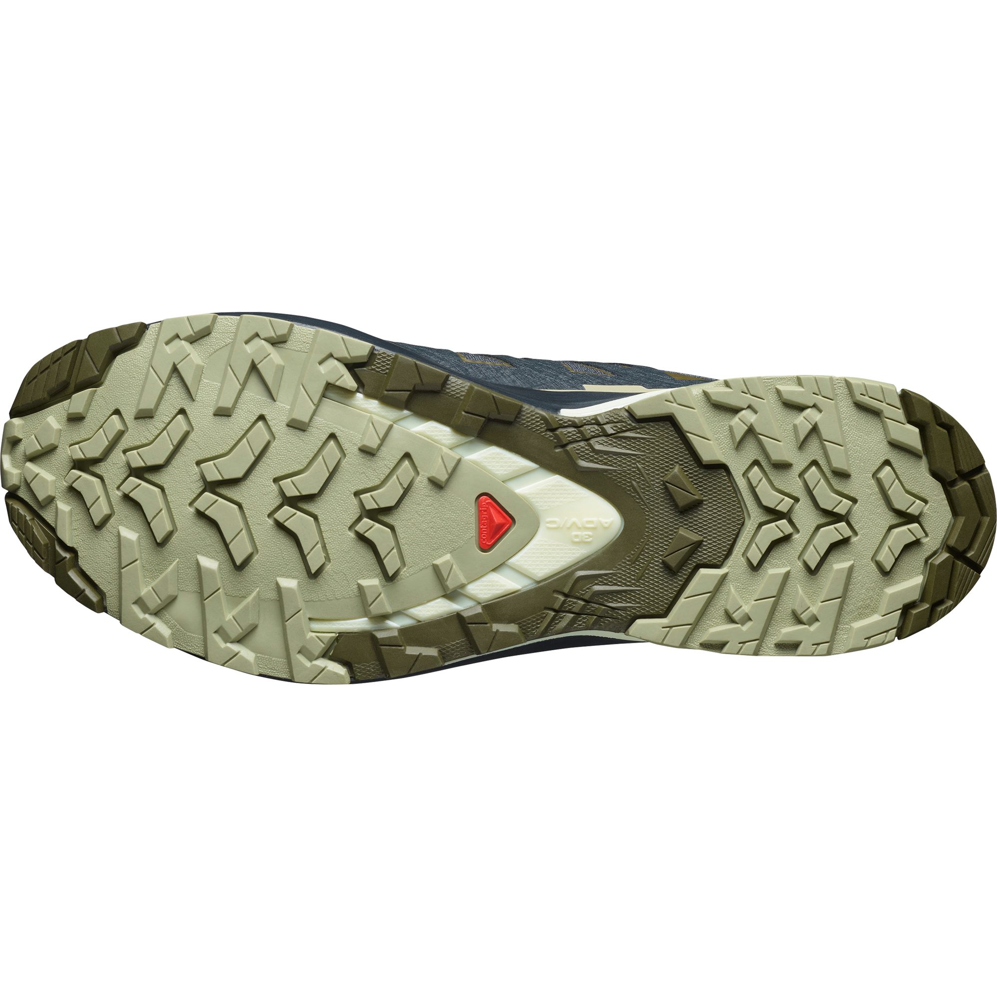 Salomon Trailrunningschoenen XA PRO 3D V9 GORE-TEX