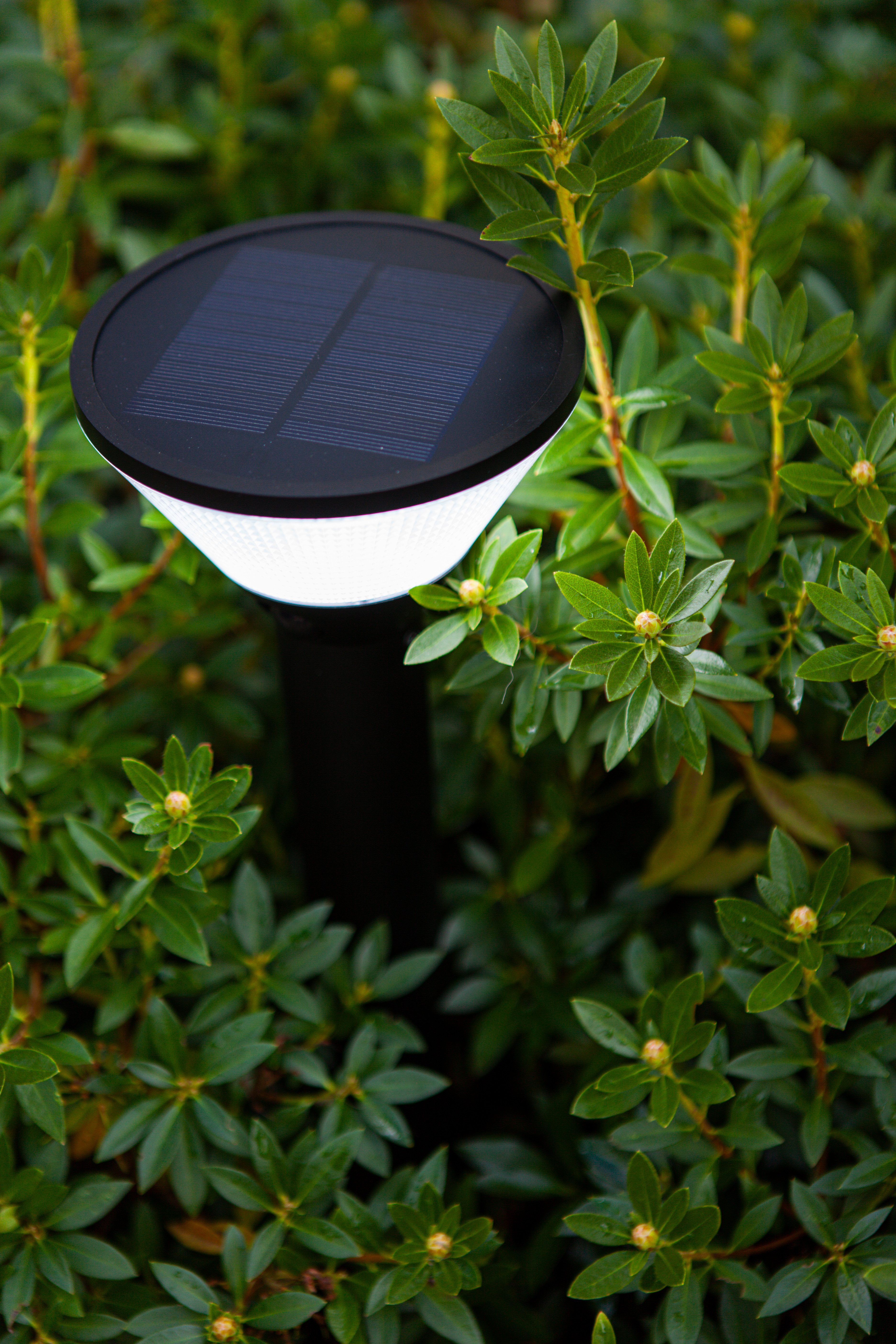 LUTEC Led-solarlamp LED-zonne-energie buitenstaande lamp KARLO
