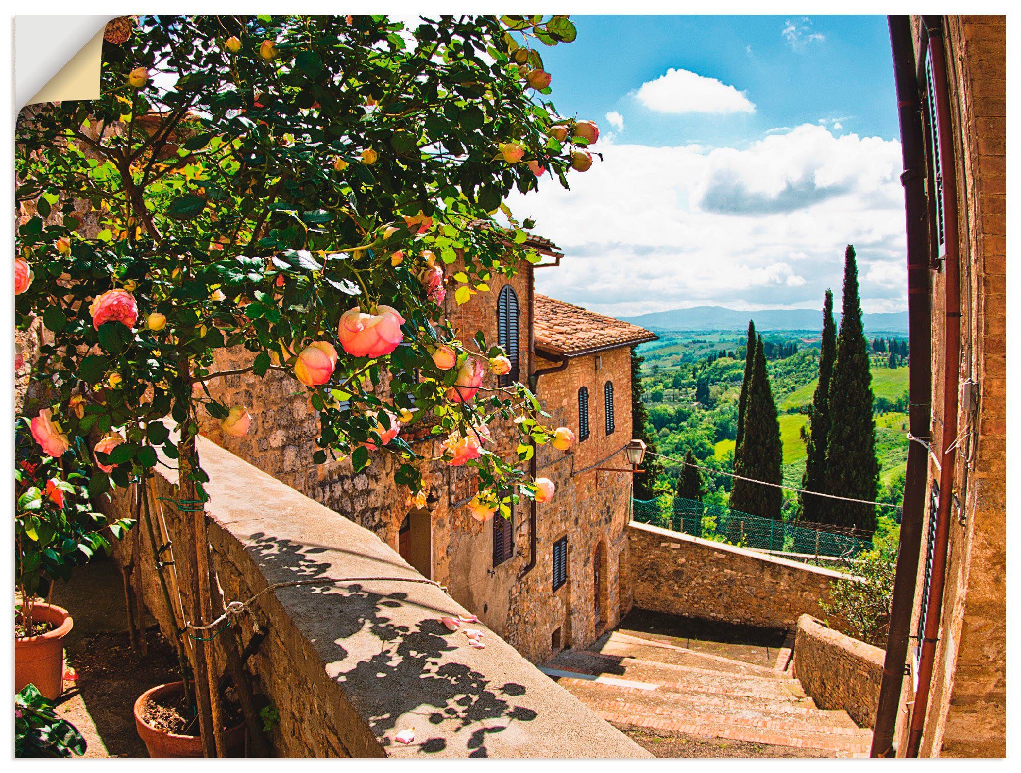 Artland artprint Rosen auf Balkon Toskanalandschaft