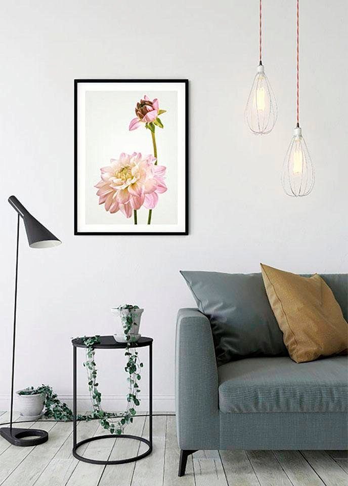Komar Wanddecoratie Dahlia Wanddecoratie - zonder lijst (1 stuk)