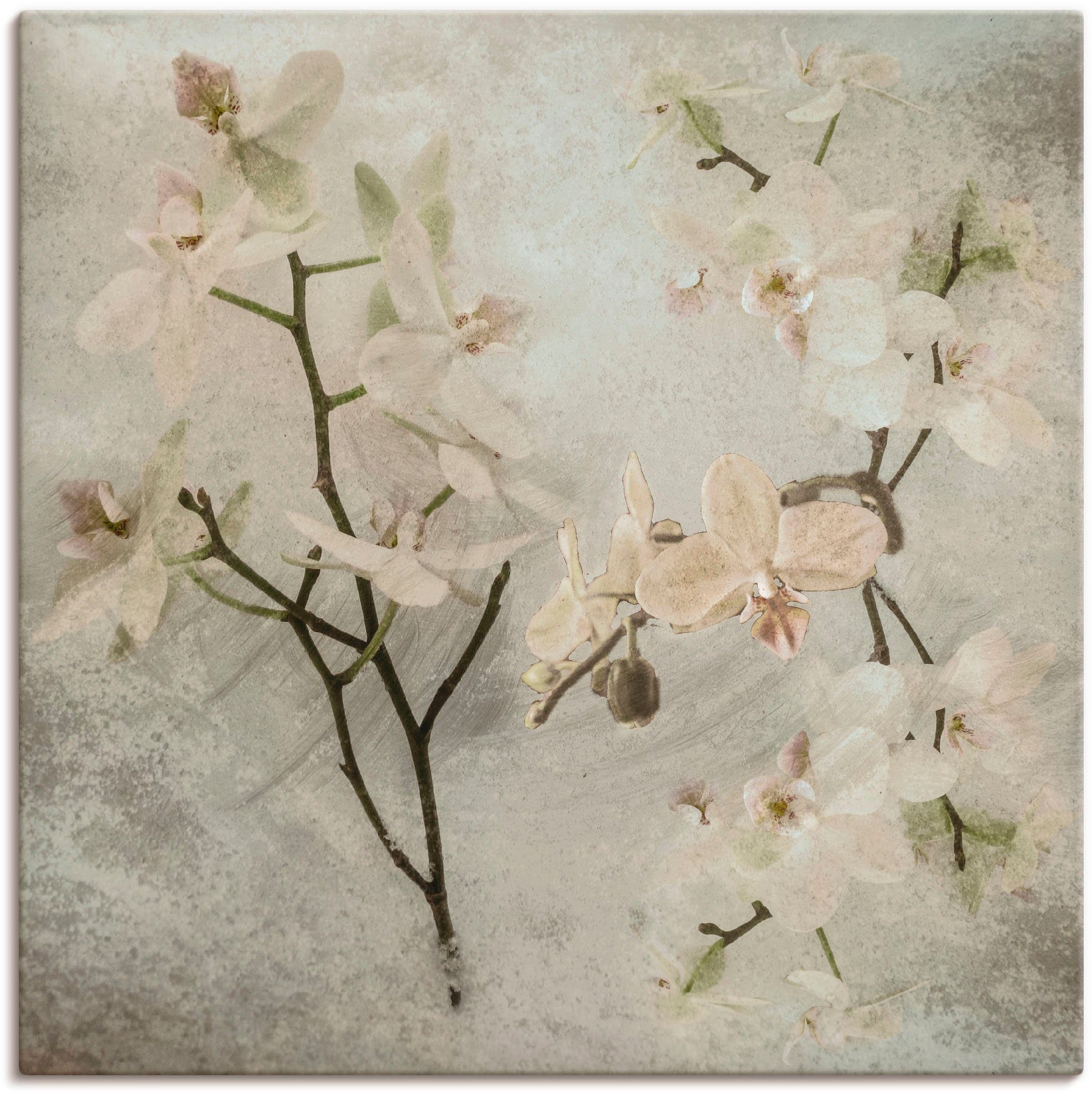 Artland artprint Orchideen