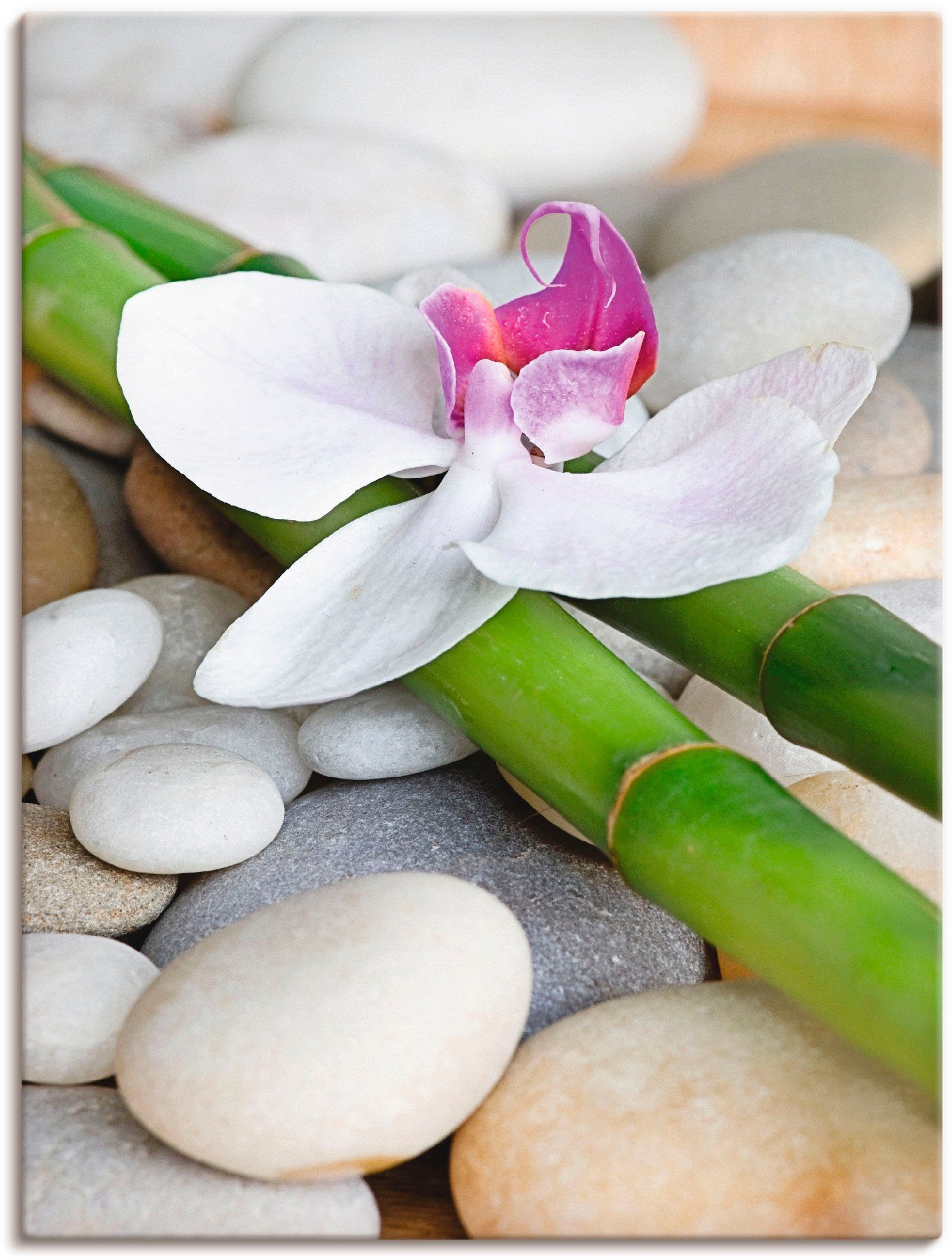 Artland artprint Zen Orchidee