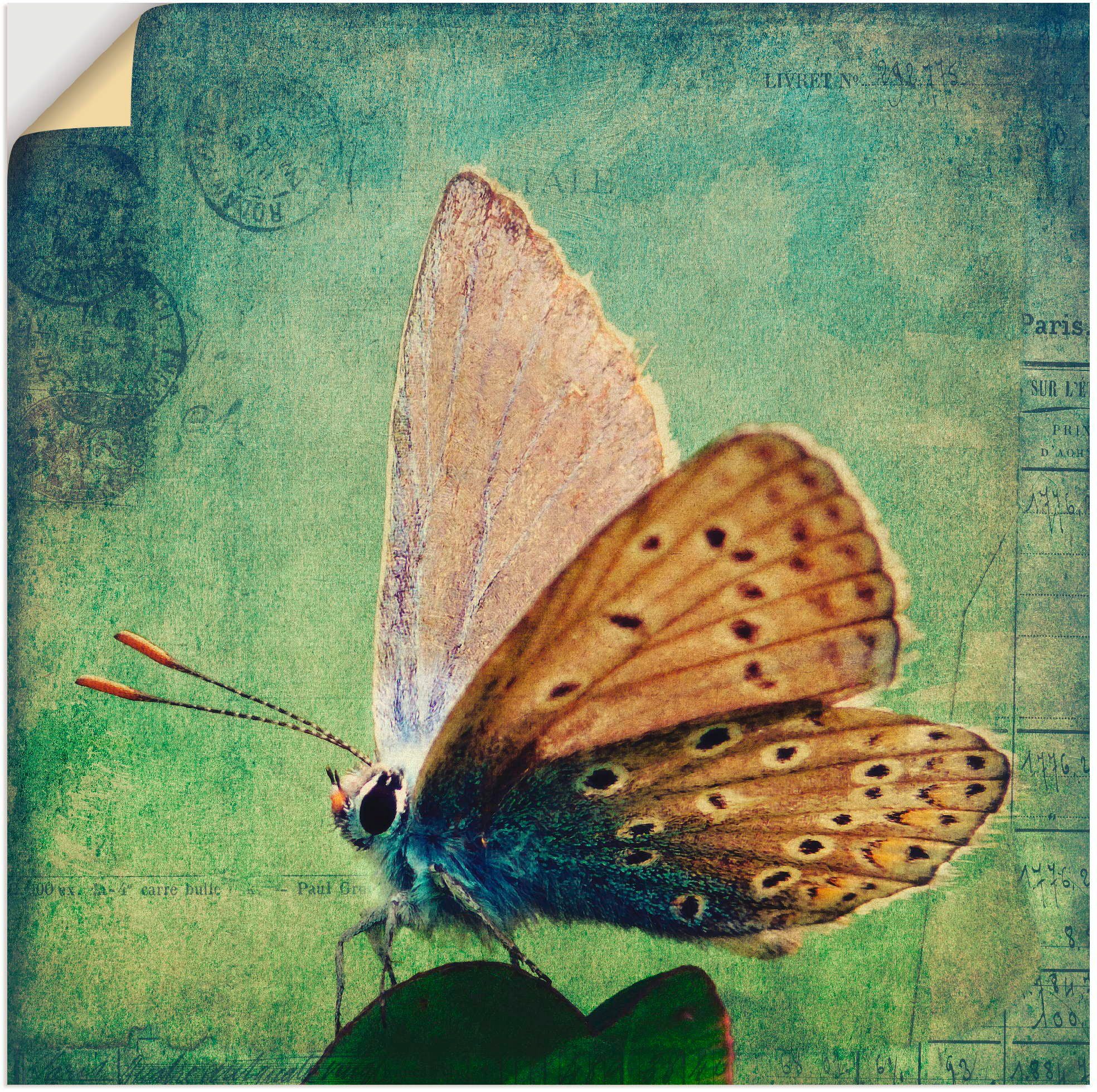 Artland Artprint Kleine vlinder in vele afmetingen & productsoorten -artprint op linnen, poster, muursticker / wandfolie ook geschikt voor de badkamer (1 stuk)