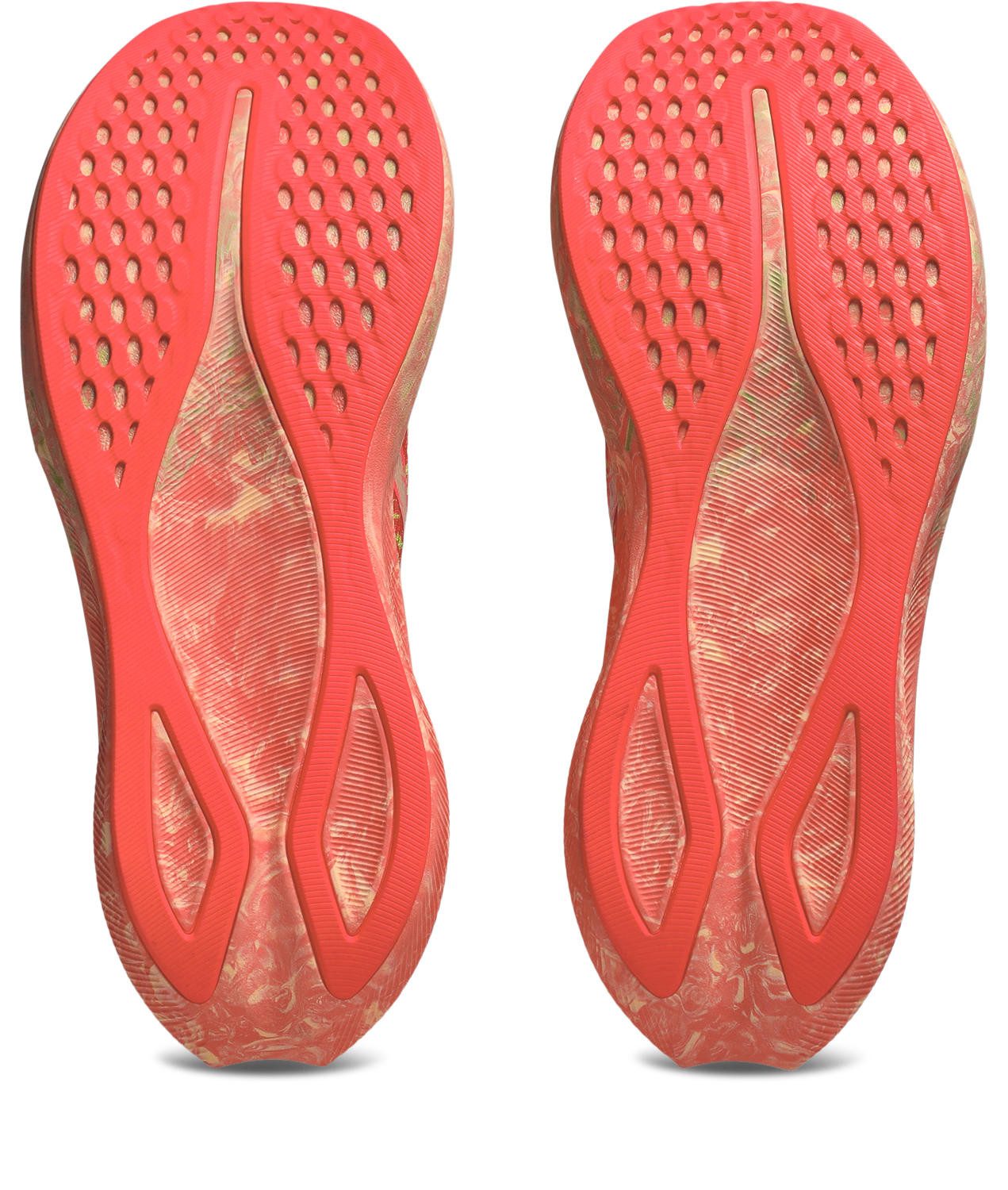 Asics Runningschoenen NOOSA TRI 16