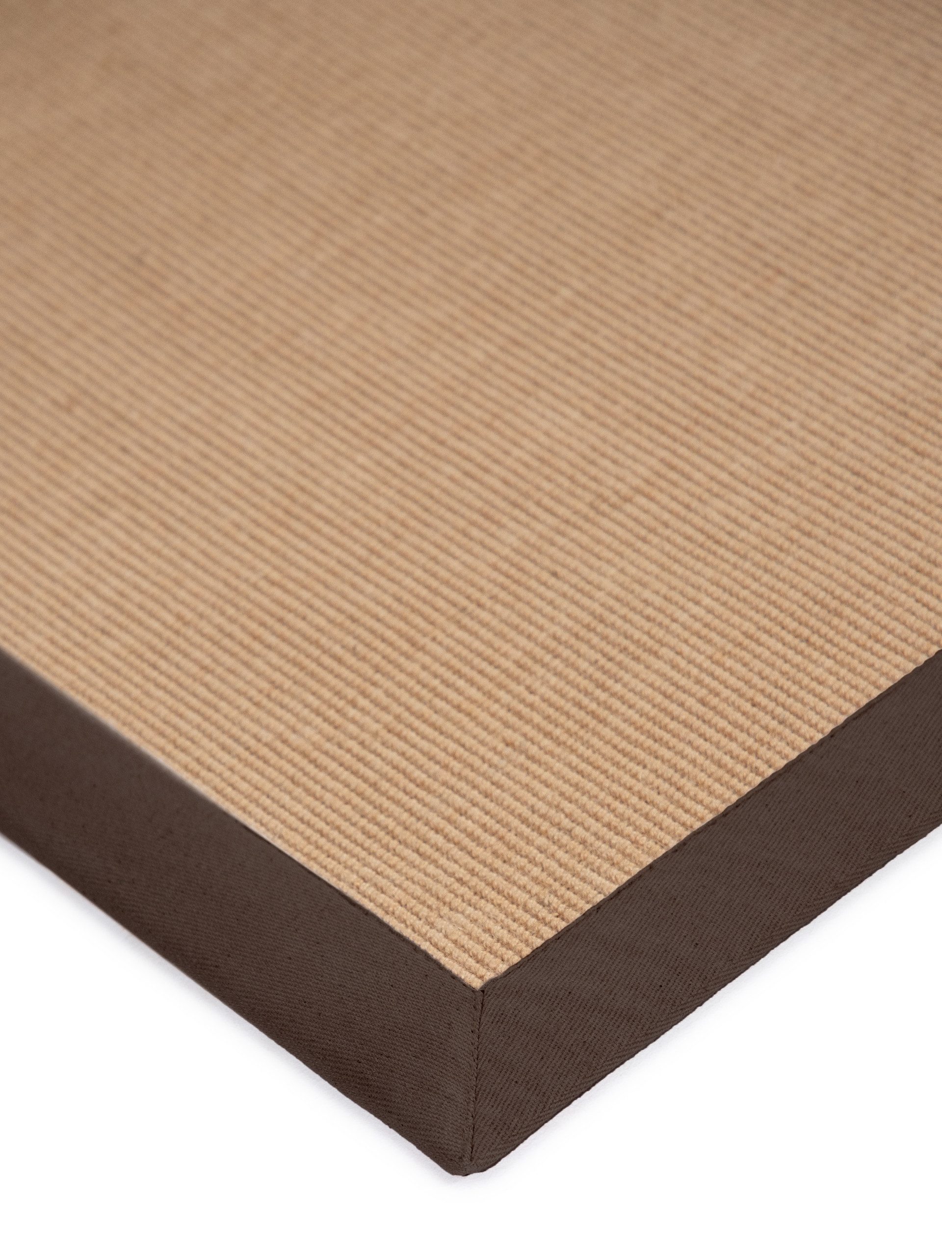 carpetfine Loper Sisal met gekleurd randdessin, antislip achterzijde