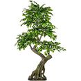 creativ green kunstboom ficus benjamini (1 stuk) groen