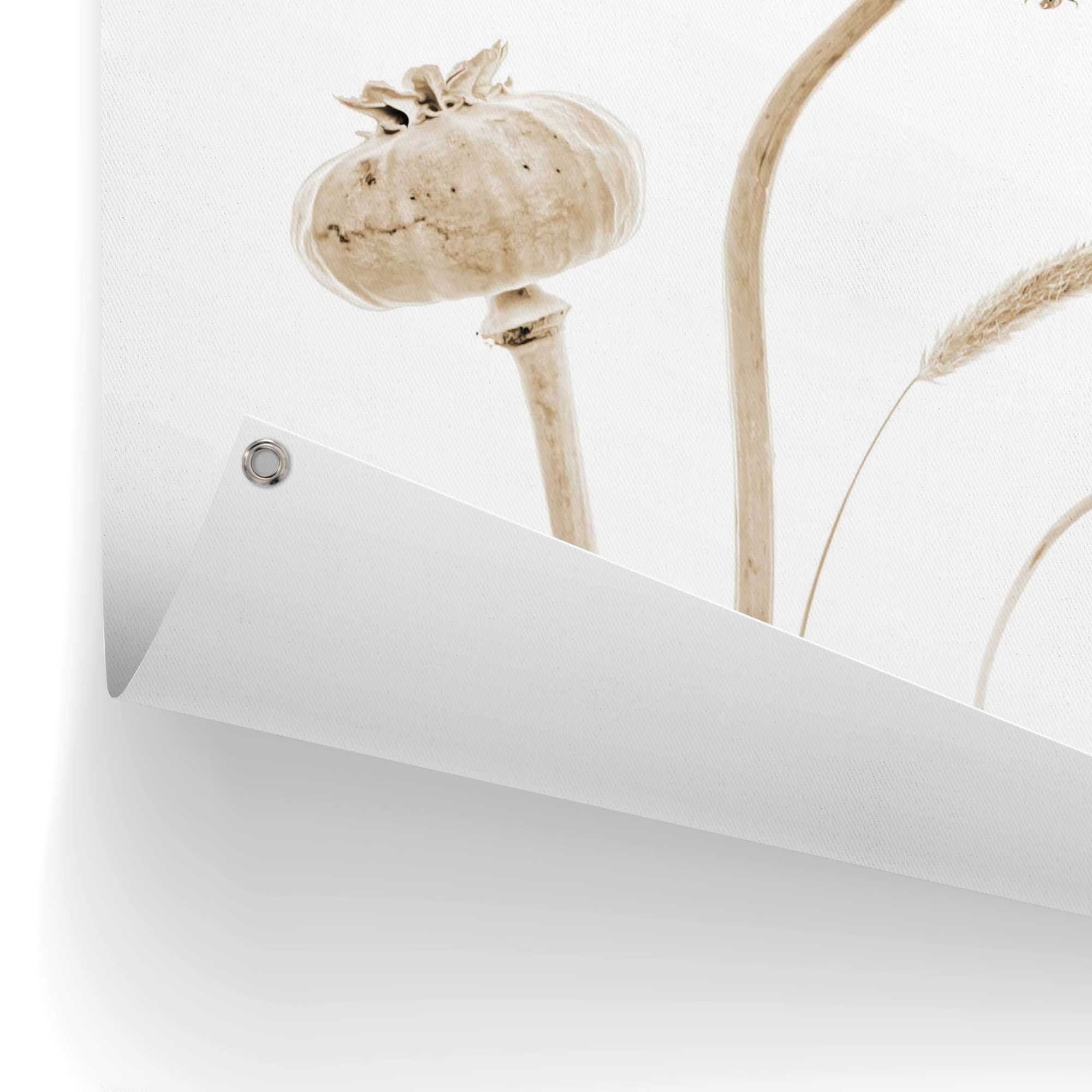 Reinders! Poster Droogbloemen Outdoor voor tuin of balkon