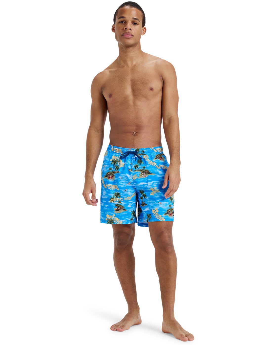 Quiksilver Boardshort Everyday Straight Volley 17"
