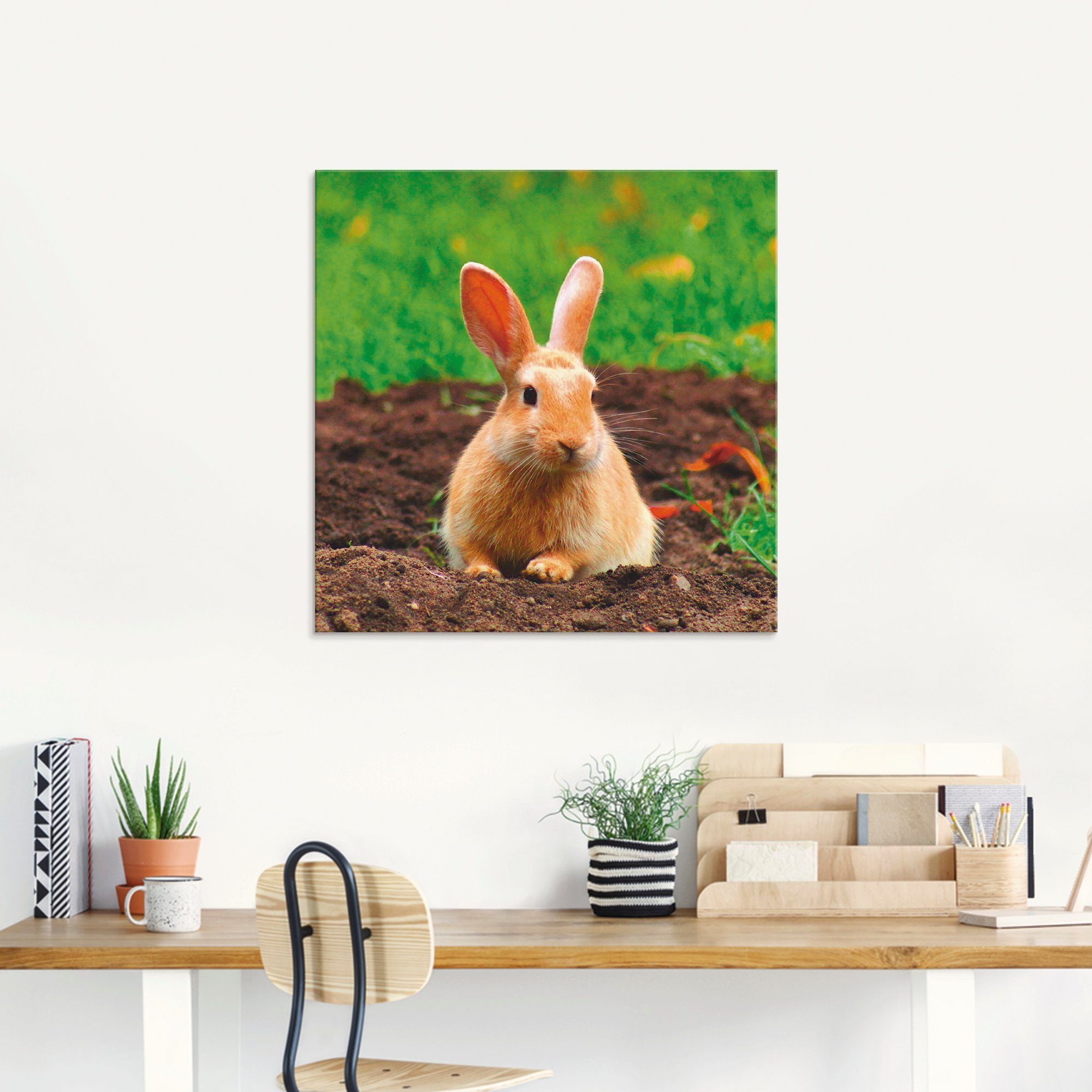 Artland Print op glas Gelukkig dwergkonijntje