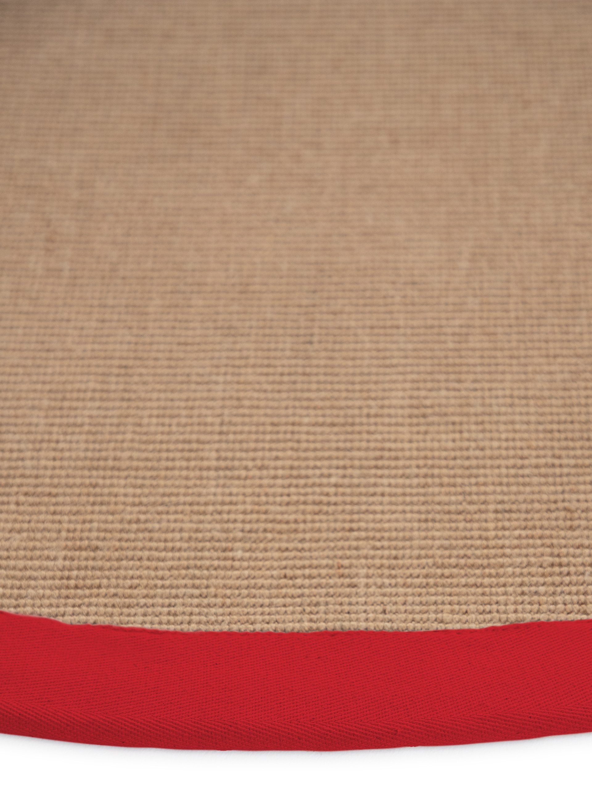 carpetfine Sisalkleed Sisal met gekleurd randdessin, antislip achterzijde