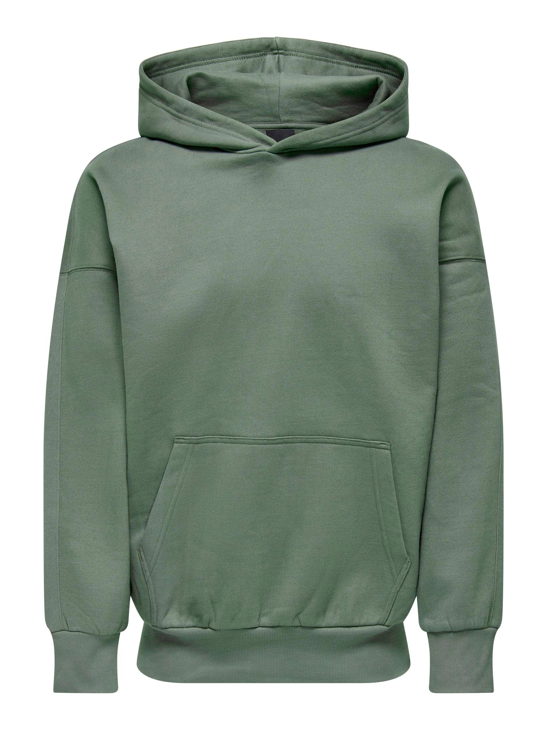 ONLY & SONS Hoodie ONSDAN LIFE RLX HEAVY SWEAT HOODIE NOOS