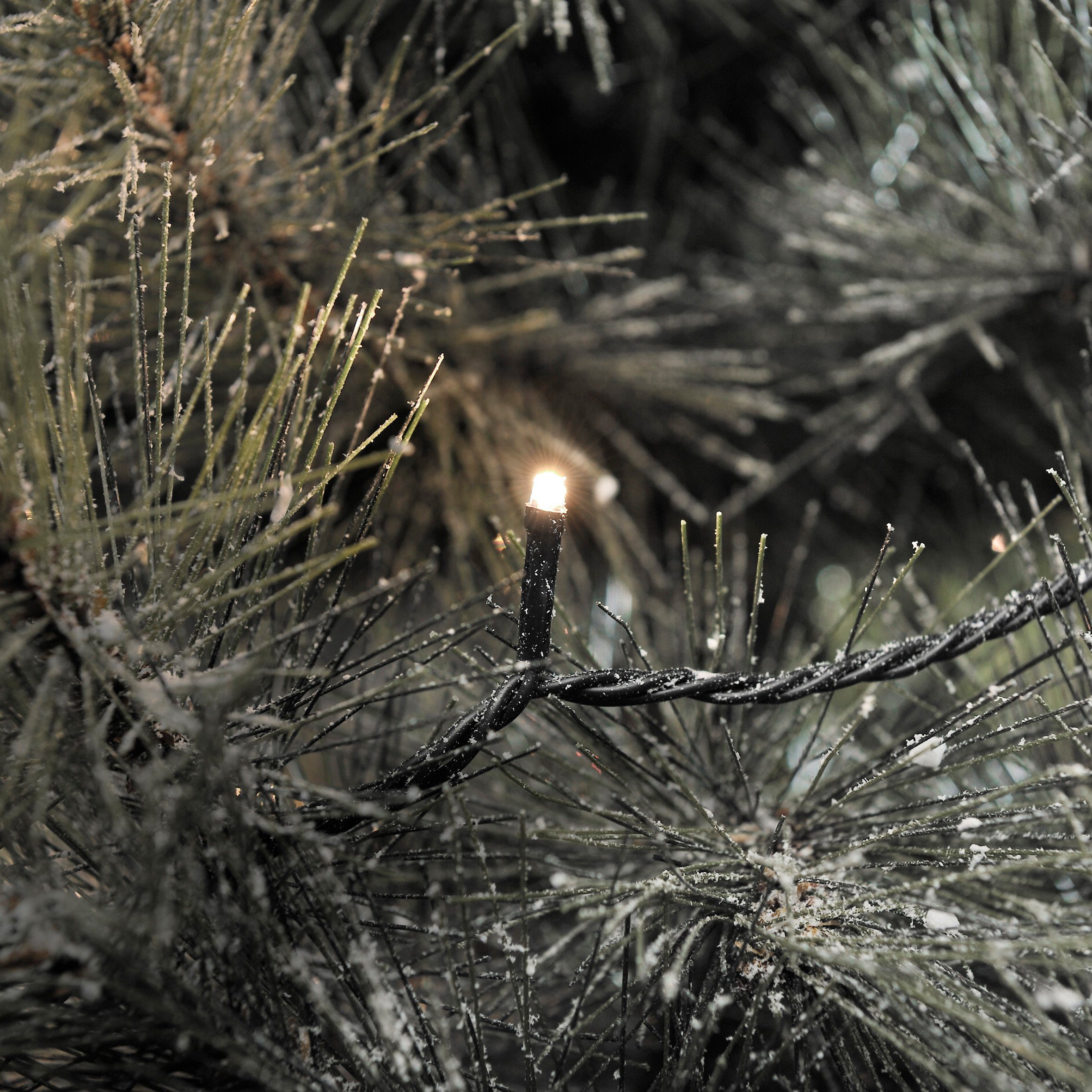 KONSTSMIDE Led-lichtsnoer Micro ledlichtsnoer, met glinstereffect, 40 warmwitte dioden (1 stuk)