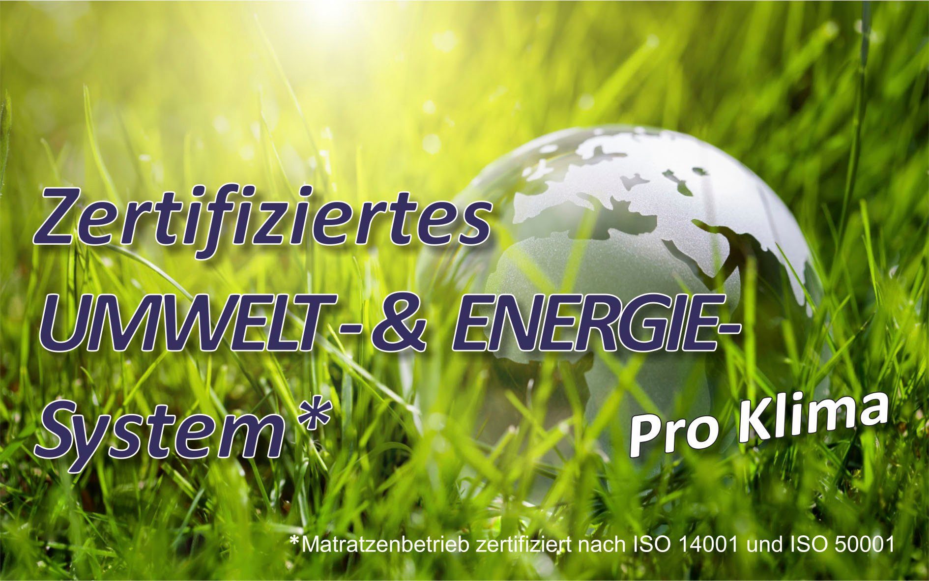 Beco Lattenbodem Body Max Blauwe engel gecertificeerd (1 stuk)