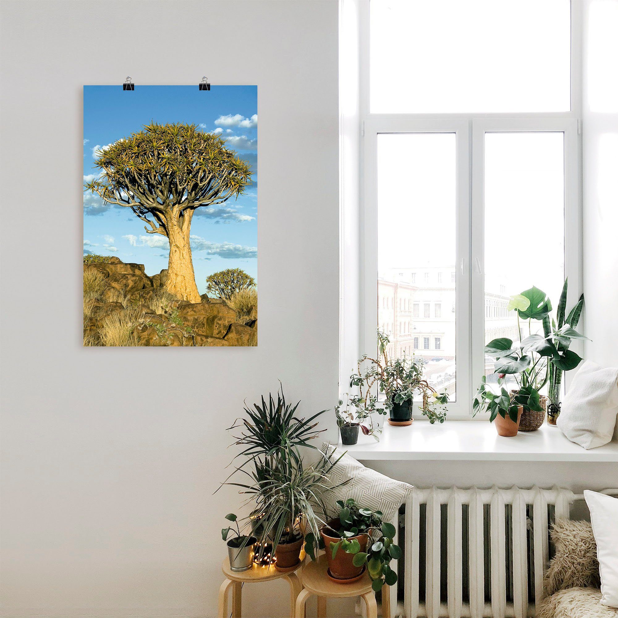 Artland Artprint Kokerboom als artprint van aluminium, artprint op linnen, muursticker of poster in verschillende maten