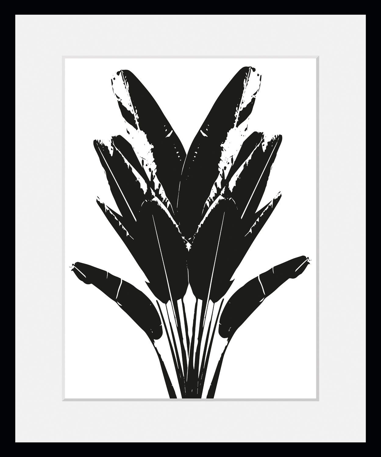 queence Wanddecoratie Palma HD premium posterdruk incl. houten lijst (1 stuk)