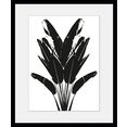queence wanddecoratie palma (1 stuk) zwart