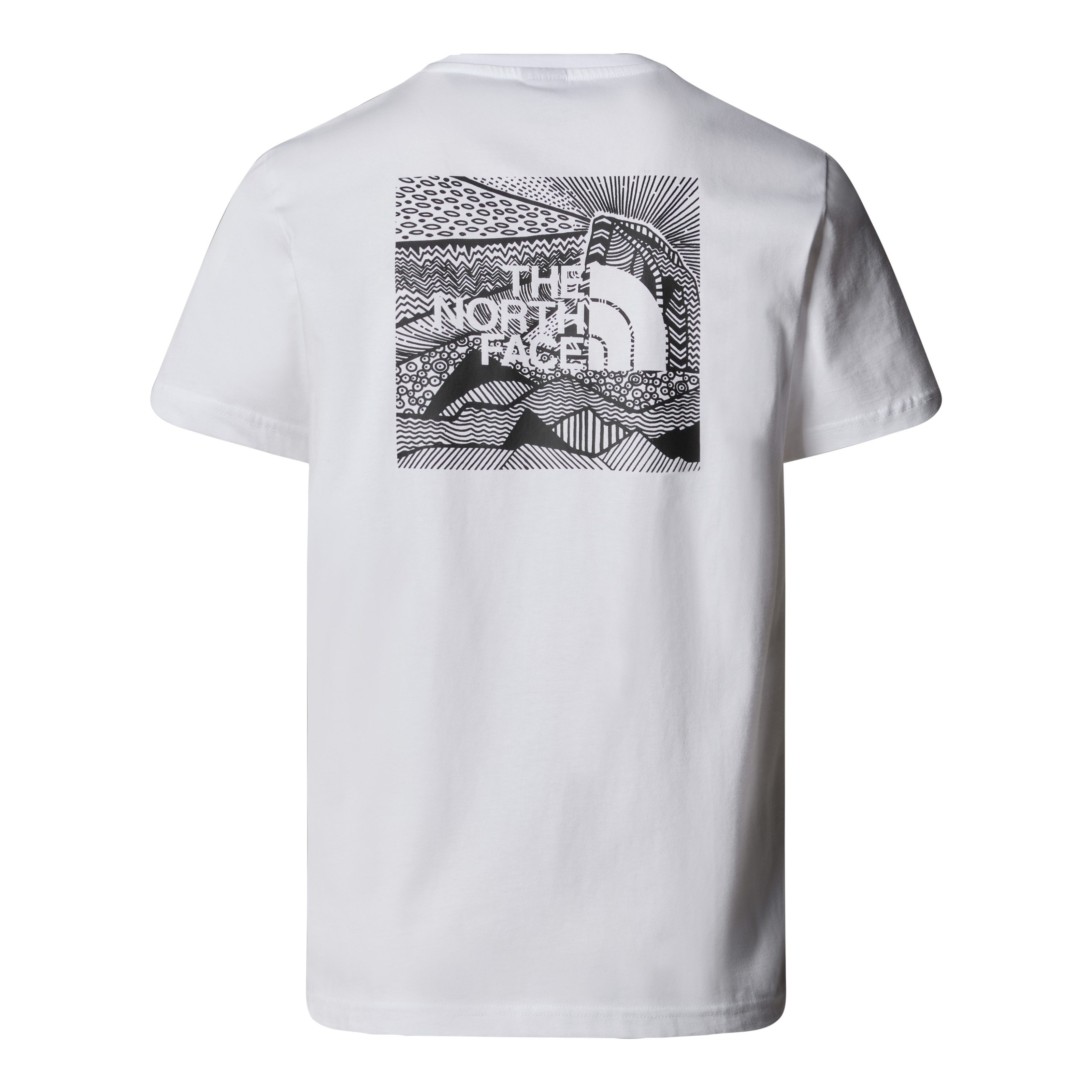 The North Face T-shirt NSE Box Celebration T-shirt voor heren