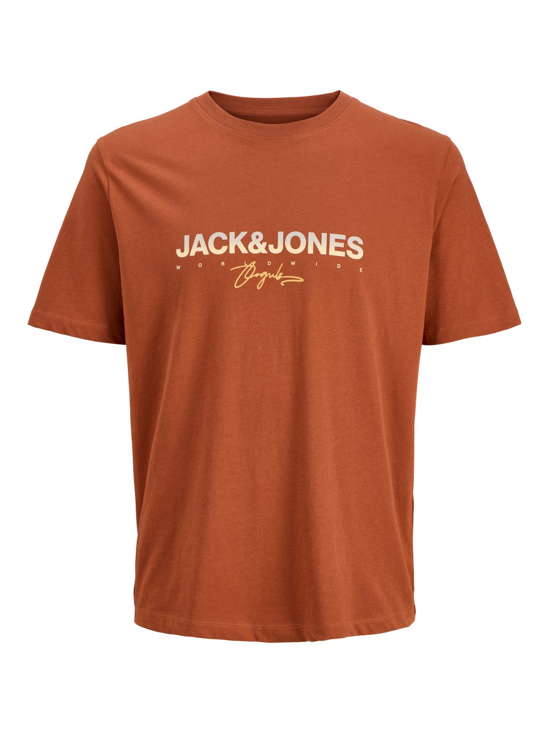 Jack & Jones Shirt met print JORCANGGU TEE SS CREW NECK FST