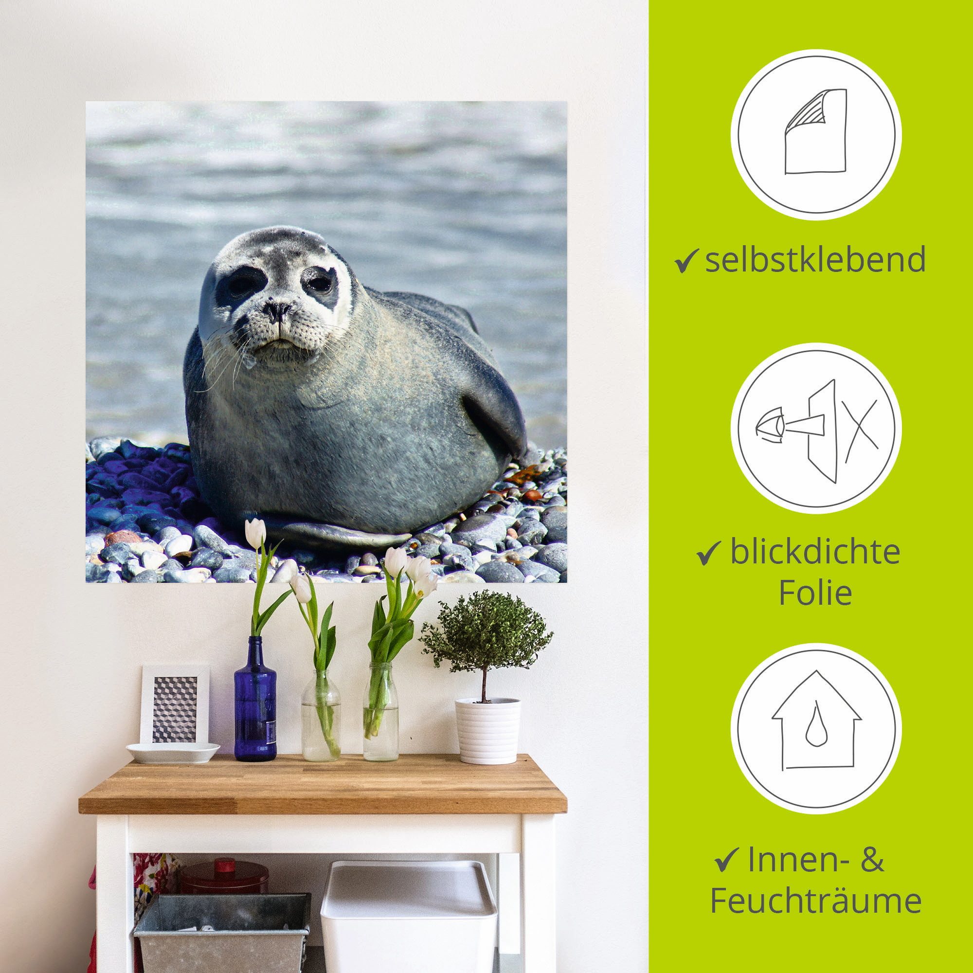 Artland Artprint Rob op het strand van Helgoland als muursticker in verschillende maten