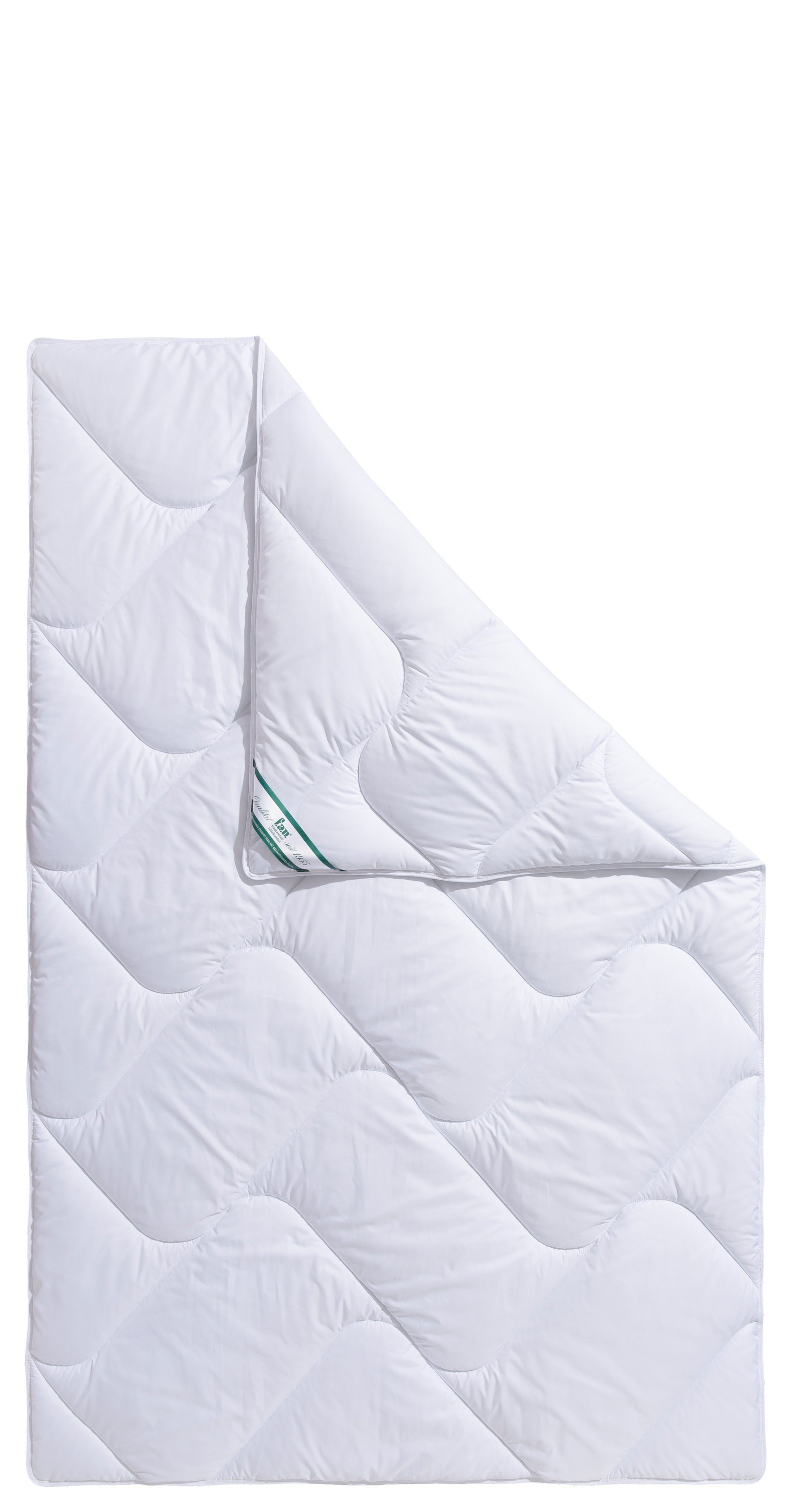 f.a.n. Frankenstolz Synthetisch dekbed Microvezel kookvast, dekbedden voor zomer en winter, dekbed 135 x 200 cm, 155 x 200 cm en andere maten, Made in