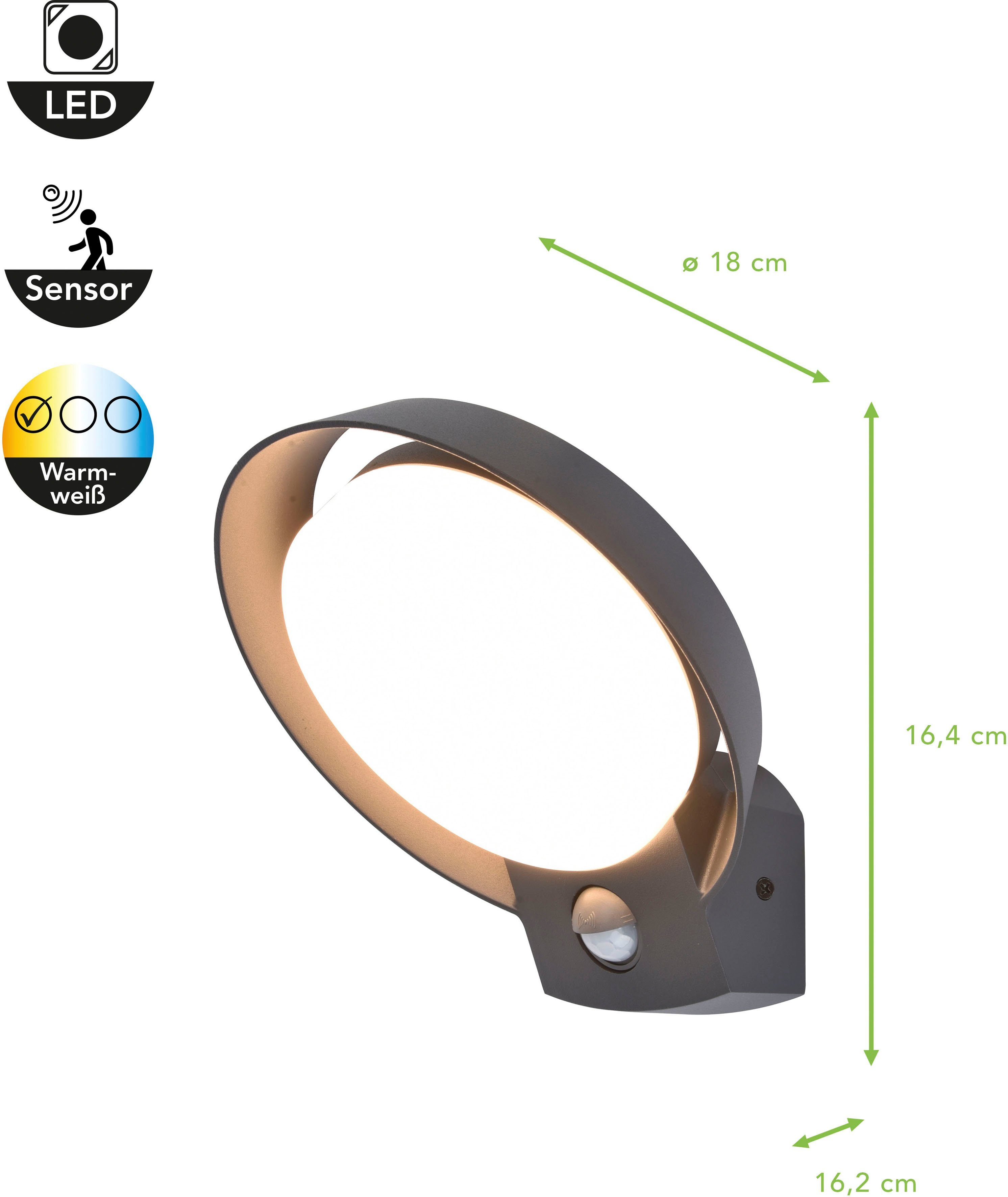 LUTEC Ledwandlamp voor buiten Polo (1 stuk)