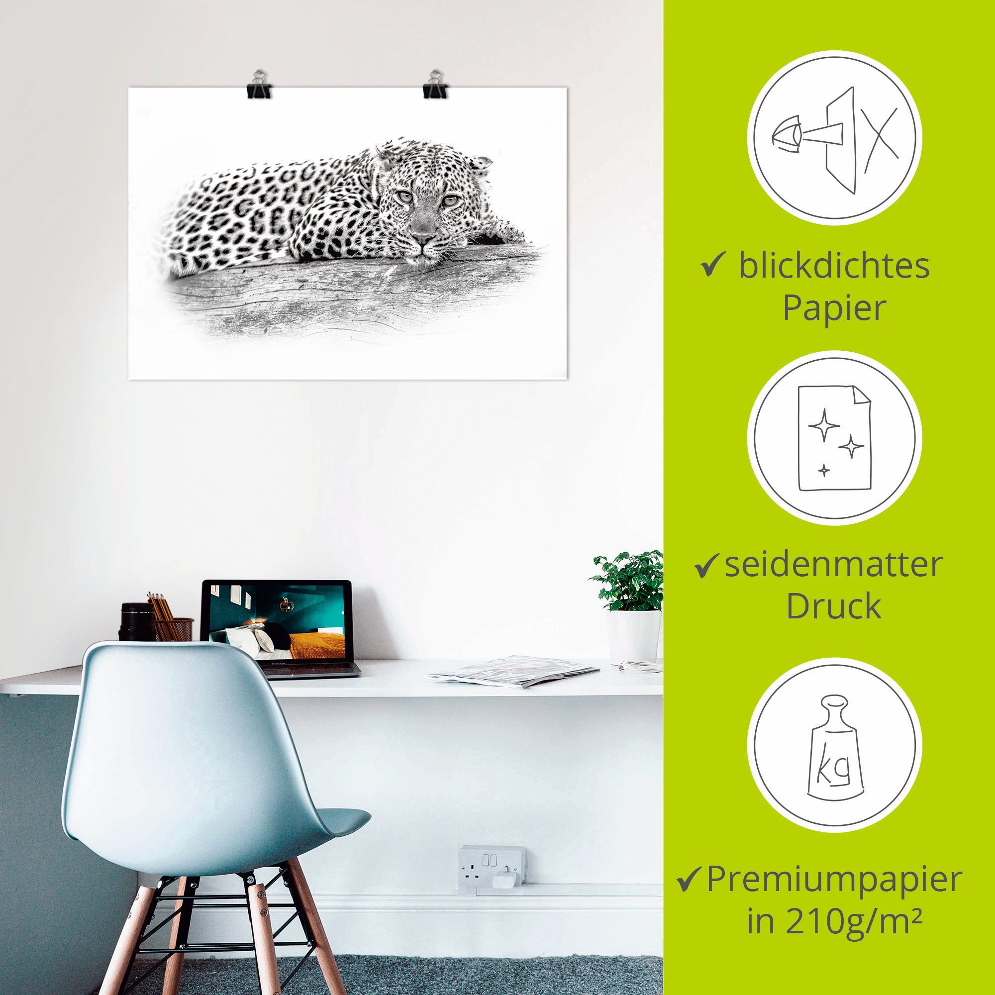 Artland Artprint Luipaard highkey look als artprint van aluminium, artprint op linnen, muursticker of poster in verschillende maten