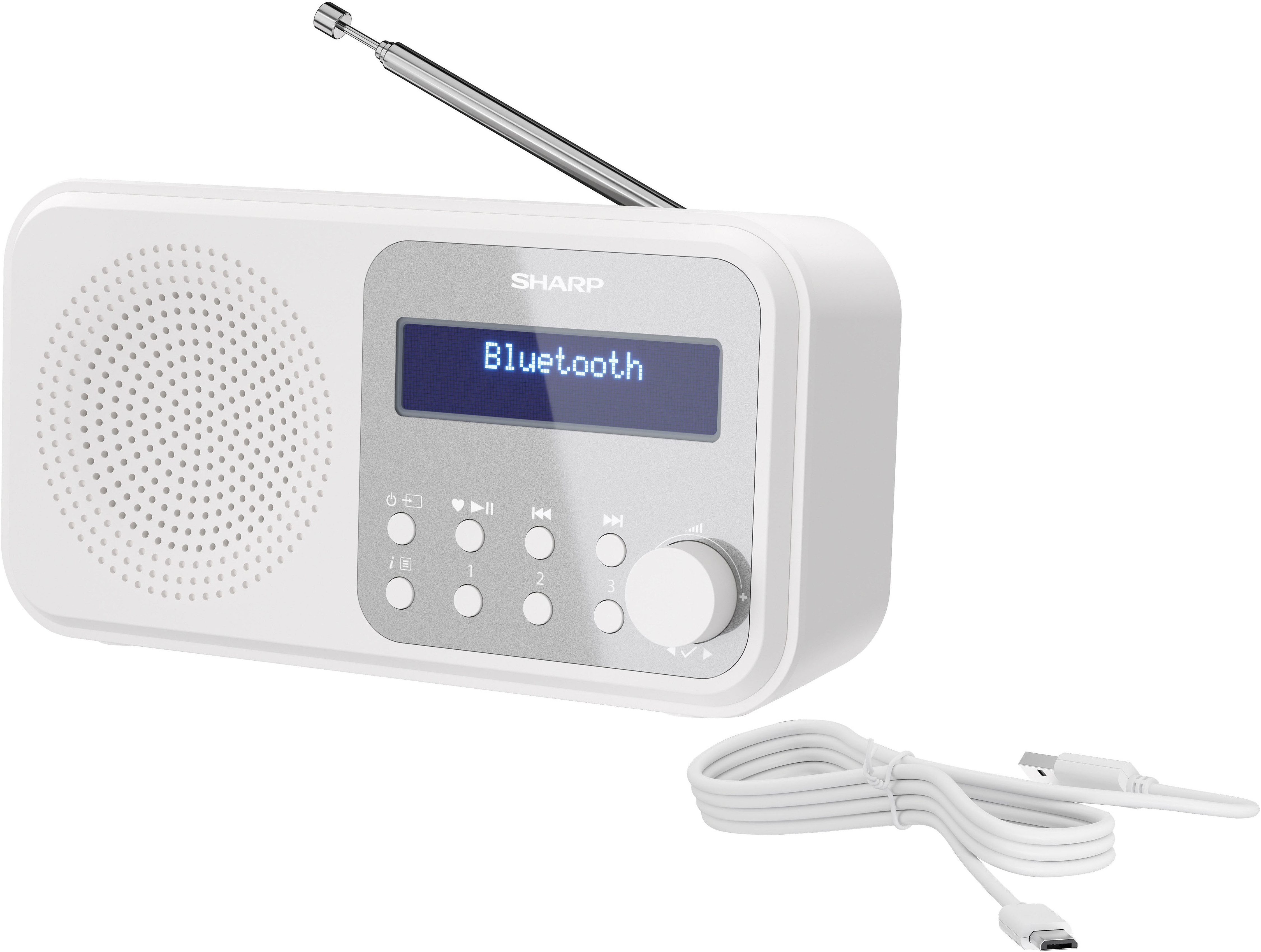 Sharp Radio DR-P420